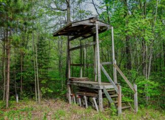 130 Acre Wisconsin Hunting Property for Sale in Marinette County WI