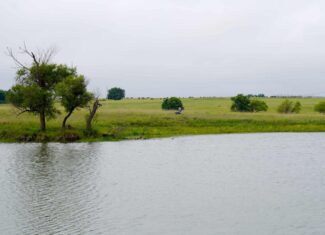 Productive Grassland Property For Sale Agra, Ok