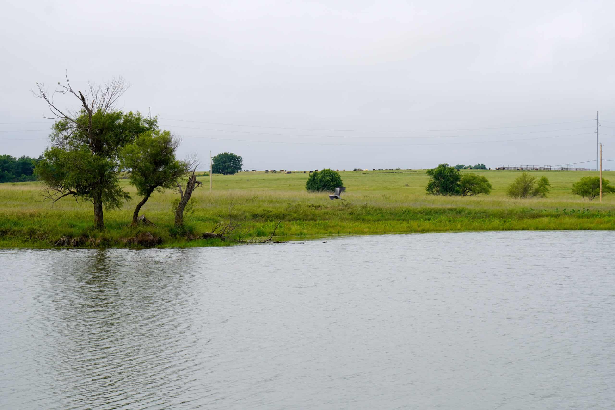 Productive Grassland Property For Sale Agra, Ok