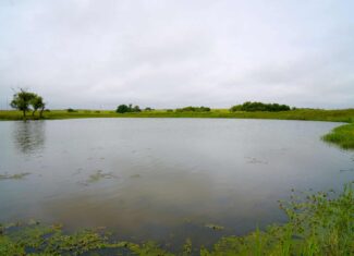 Productive Grassland Property For Sale Agra, Ok