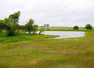 Productive Grassland Property For Sale Agra, Ok