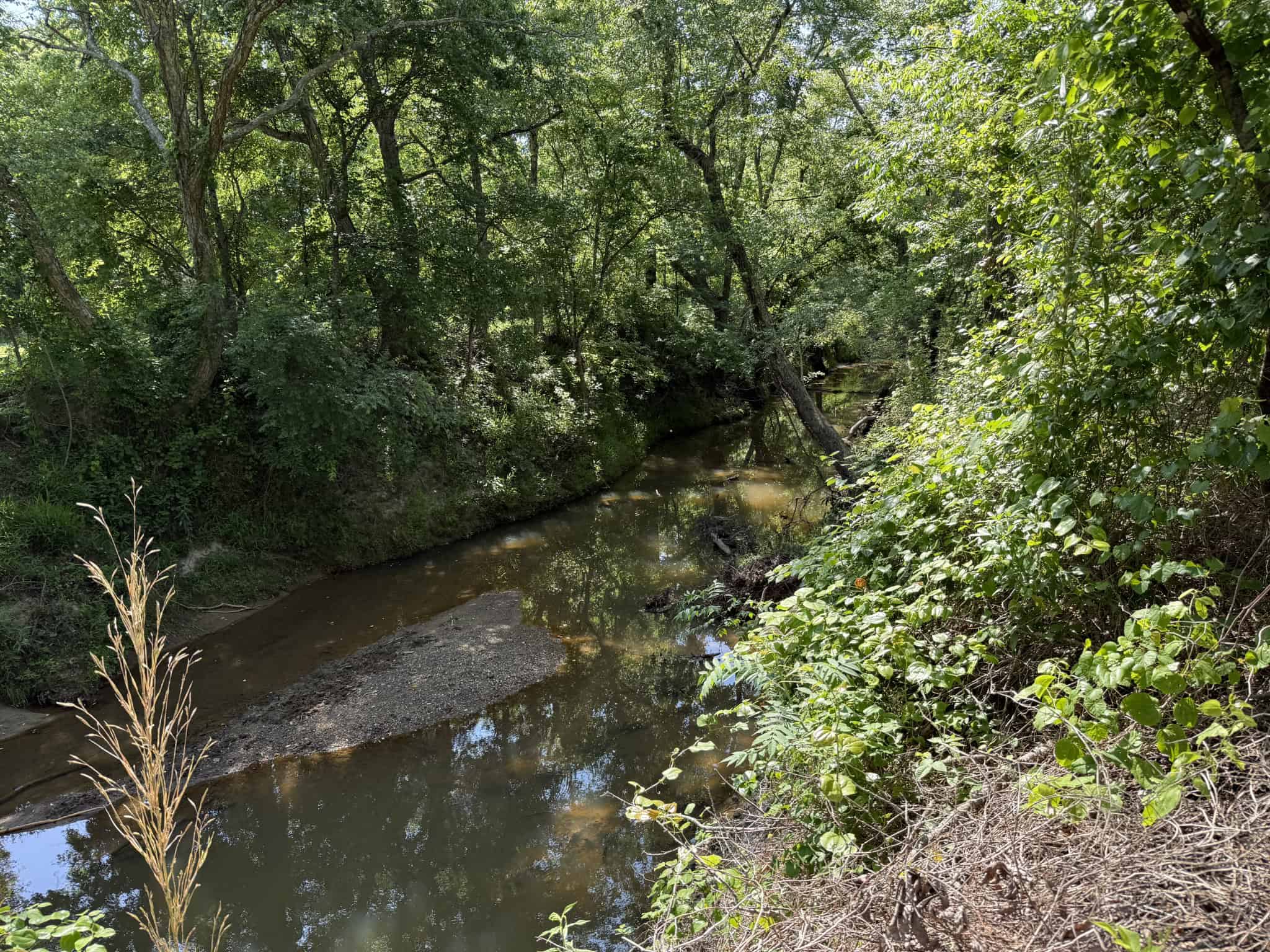 LAND FOR SALE IN TN, HOMESITE, HUNTING, FIELD, TIMBER, CREEK