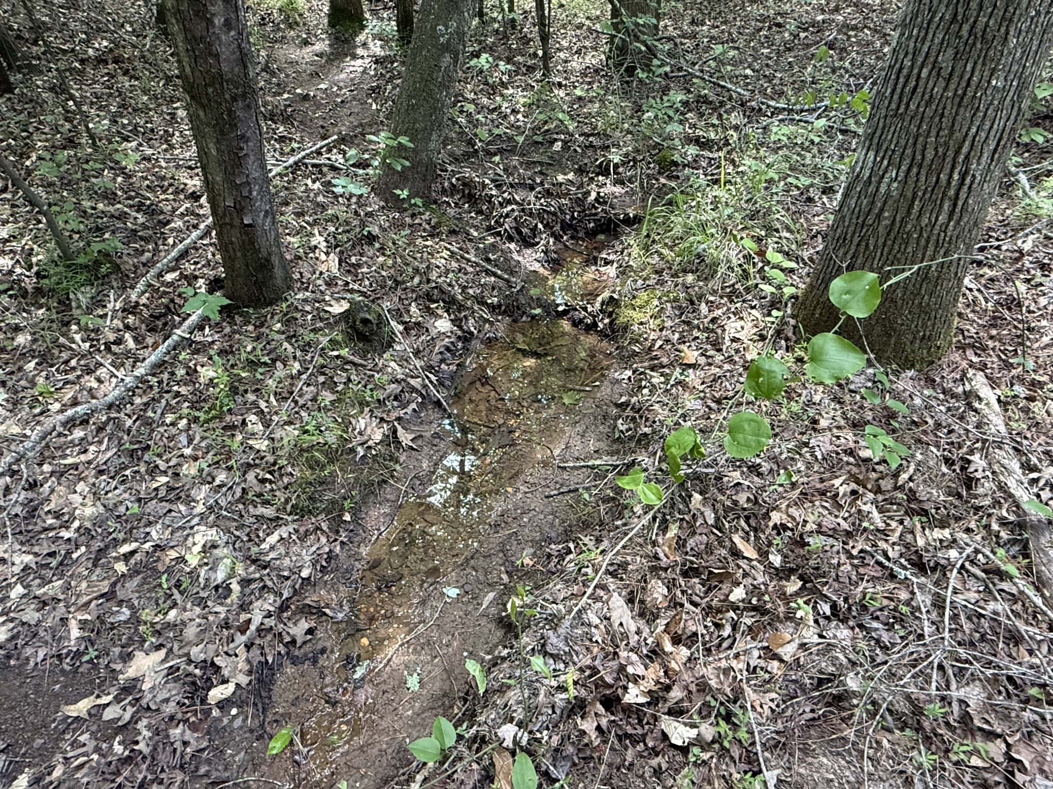 LAND FOR SALE IN TN, HOMESITE, HUNTING, FIELD, TIMBER, CREEK