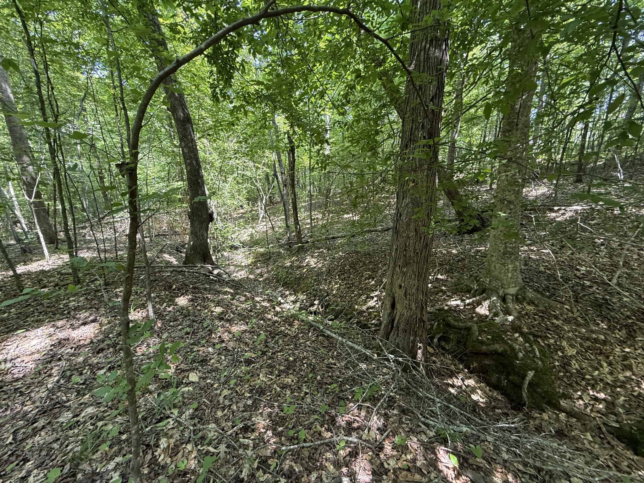 LAND FOR SALE IN TN, HOMESITE, HUNTING, FIELD, TIMBER, CREEK