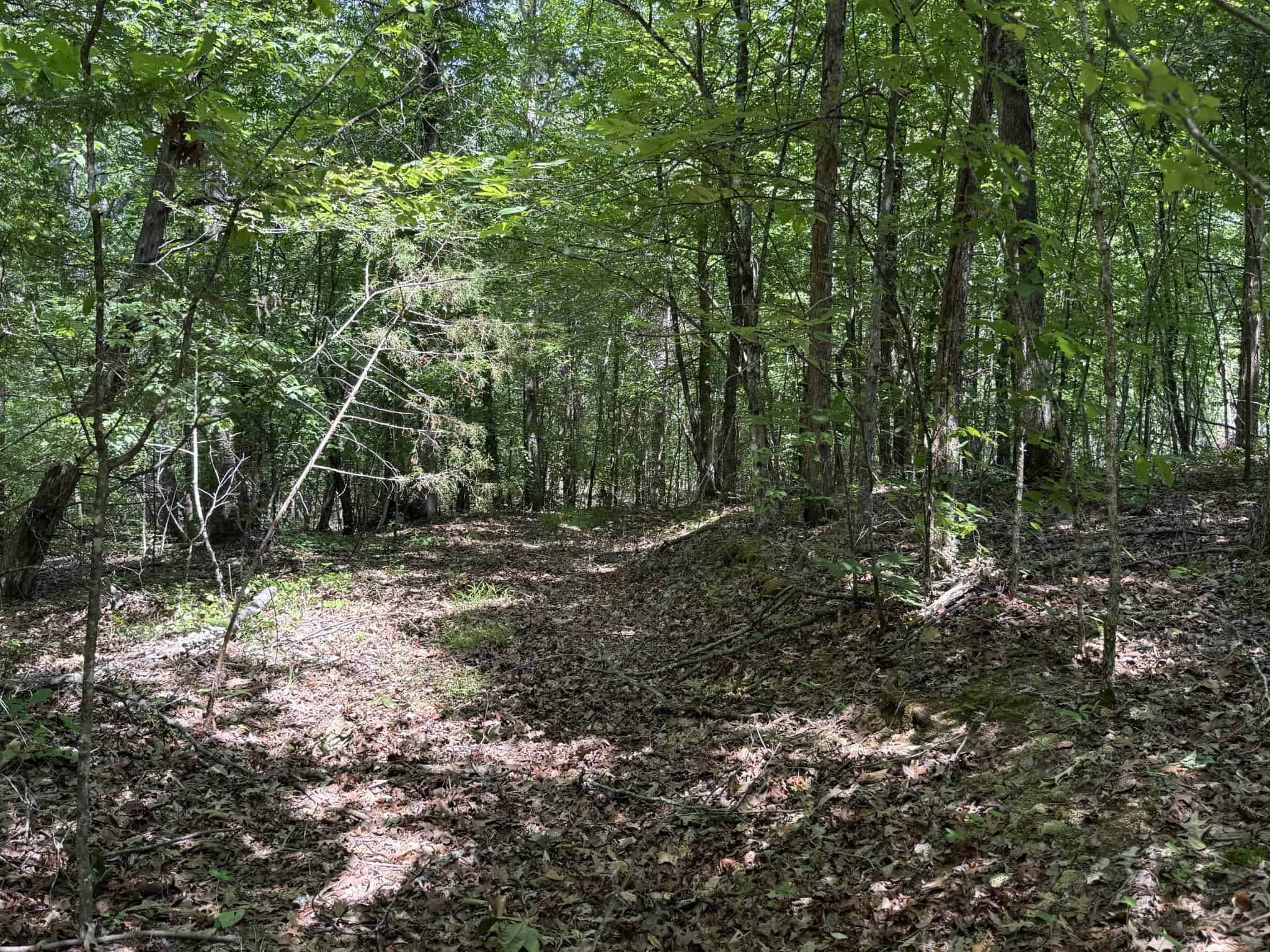 LAND FOR SALE IN TN, HOMESITE, HUNTING, FIELD, TIMBER, CREEK