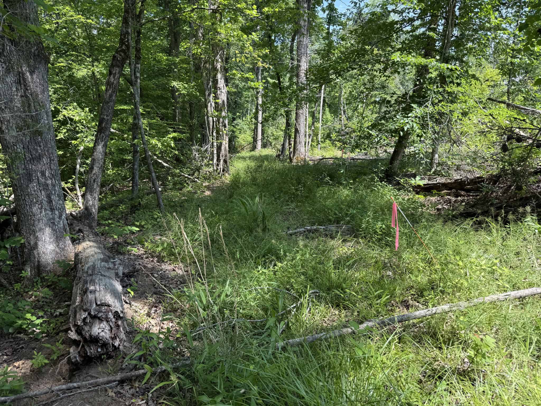 LAND FOR SALE IN TN, HOMESITE, HUNTING, FIELD, TIMBER, CREEK
