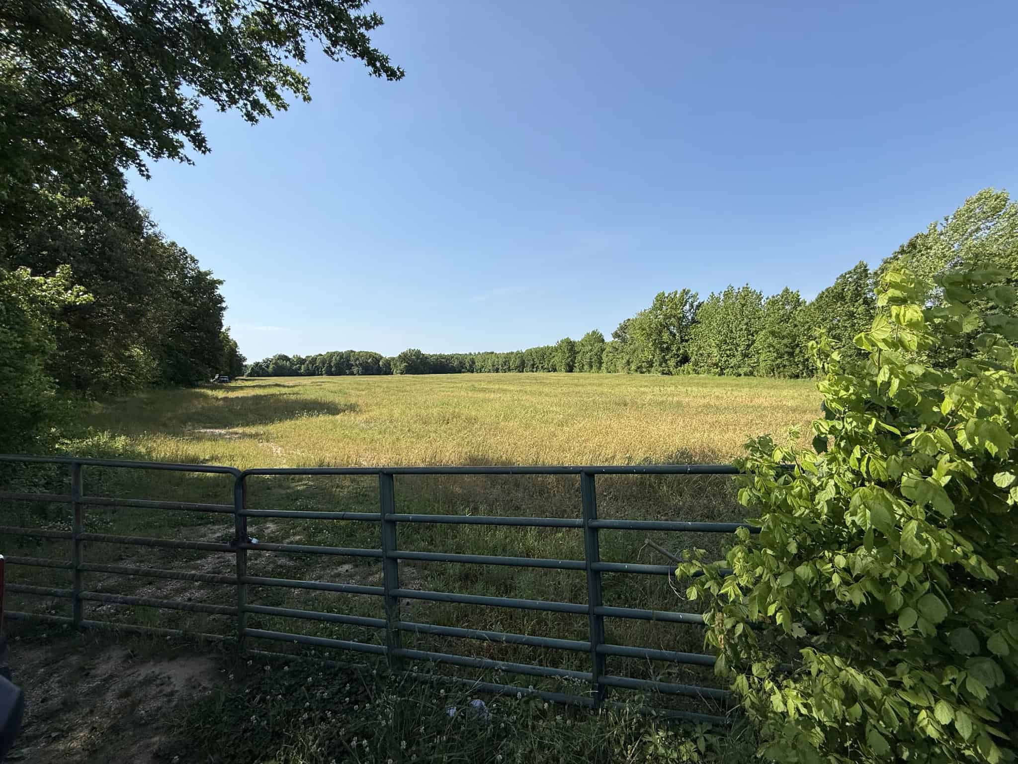 LAND FOR SALE IN TN, HOMESITE, HUNTING, FIELD, TIMBER, CREEK