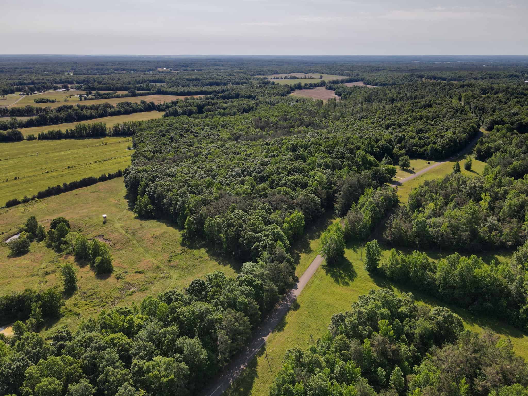 LAND FOR SALE IN TN, HOMESITE, HUNTING, FIELD, TIMBER, CREEK