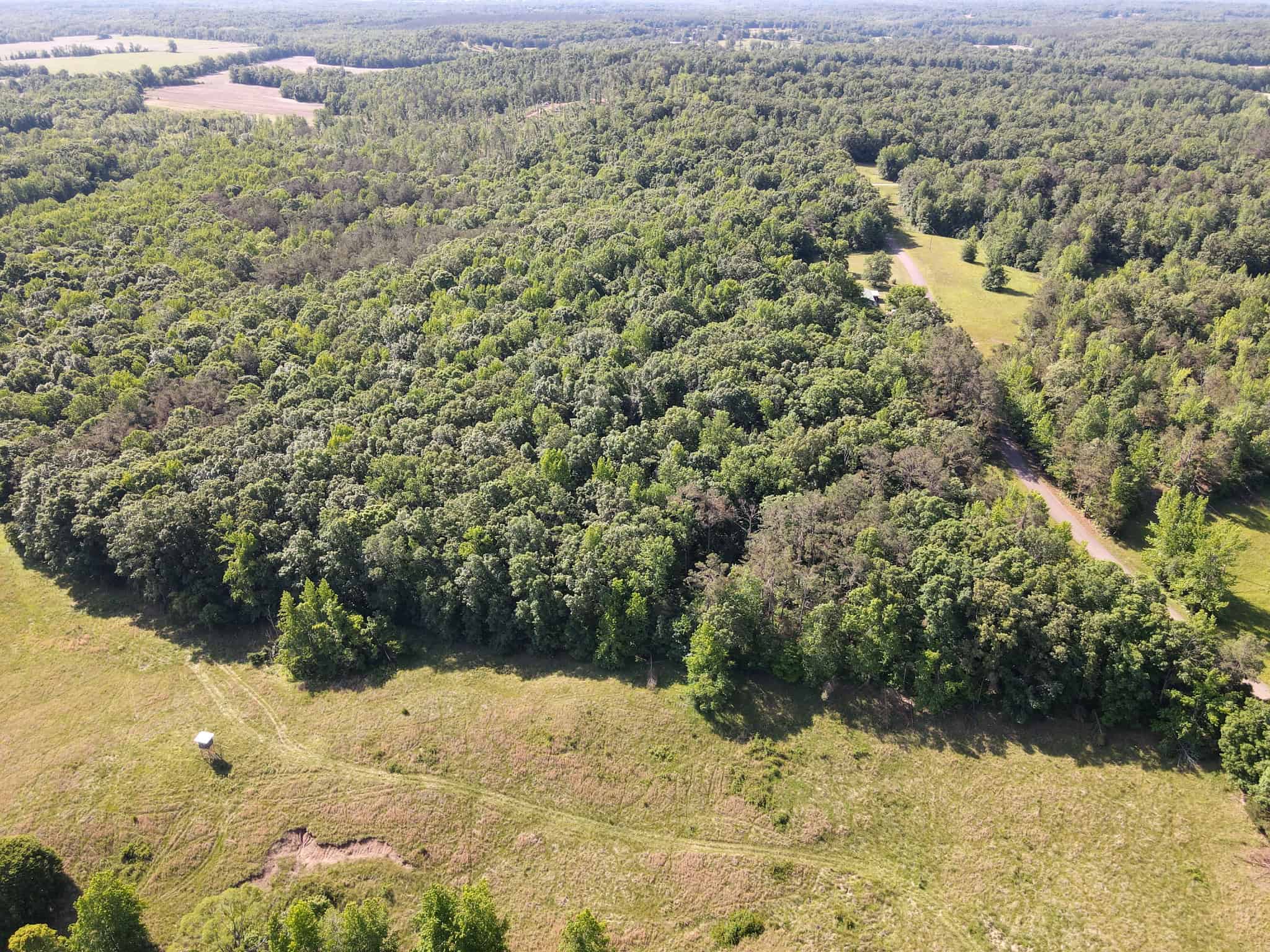 LAND FOR SALE IN TN, HOMESITE, HUNTING, FIELD, TIMBER, CREEK