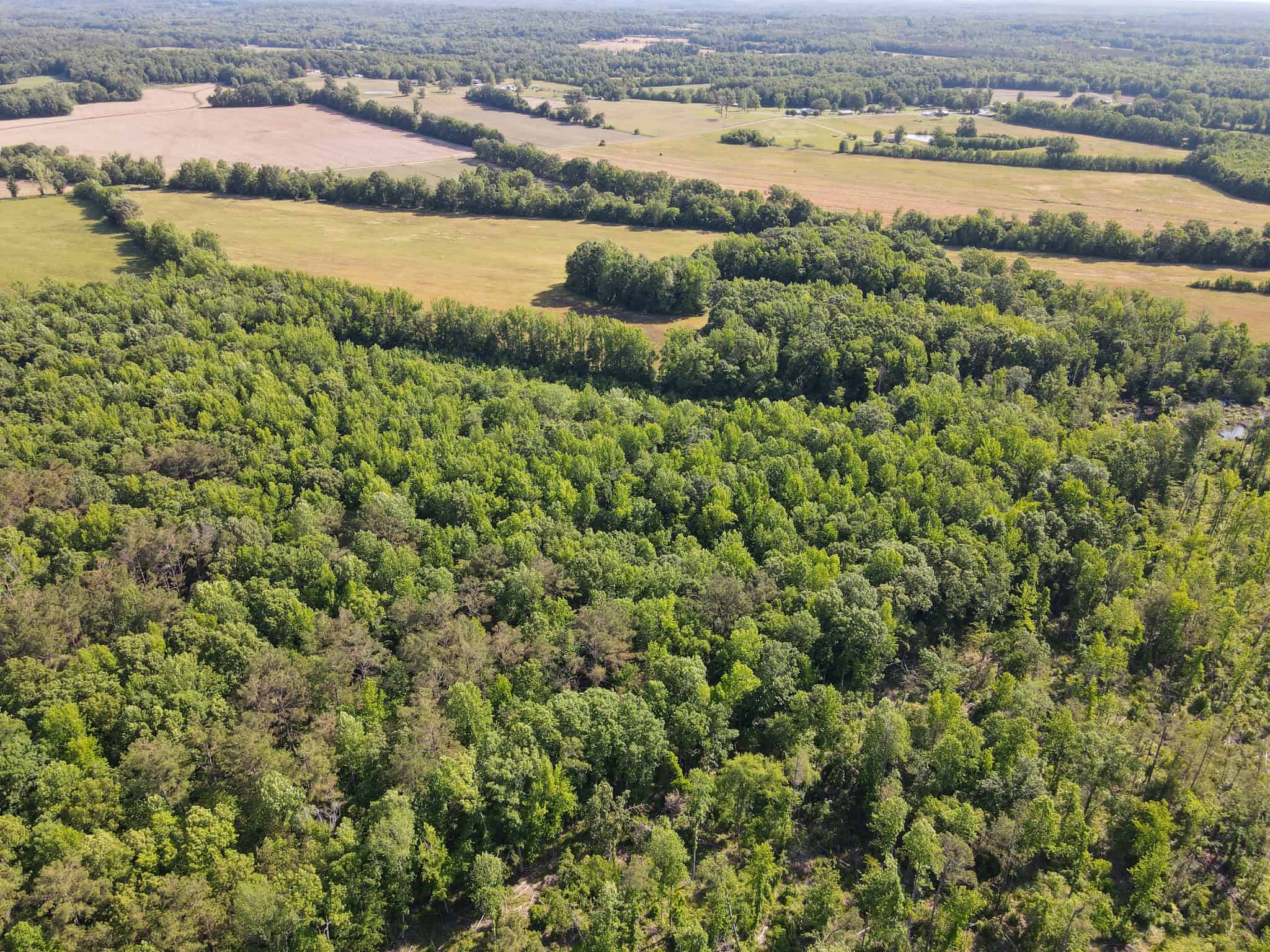 LAND FOR SALE IN TN, HOMESITE, HUNTING, FIELD, TIMBER, CREEK