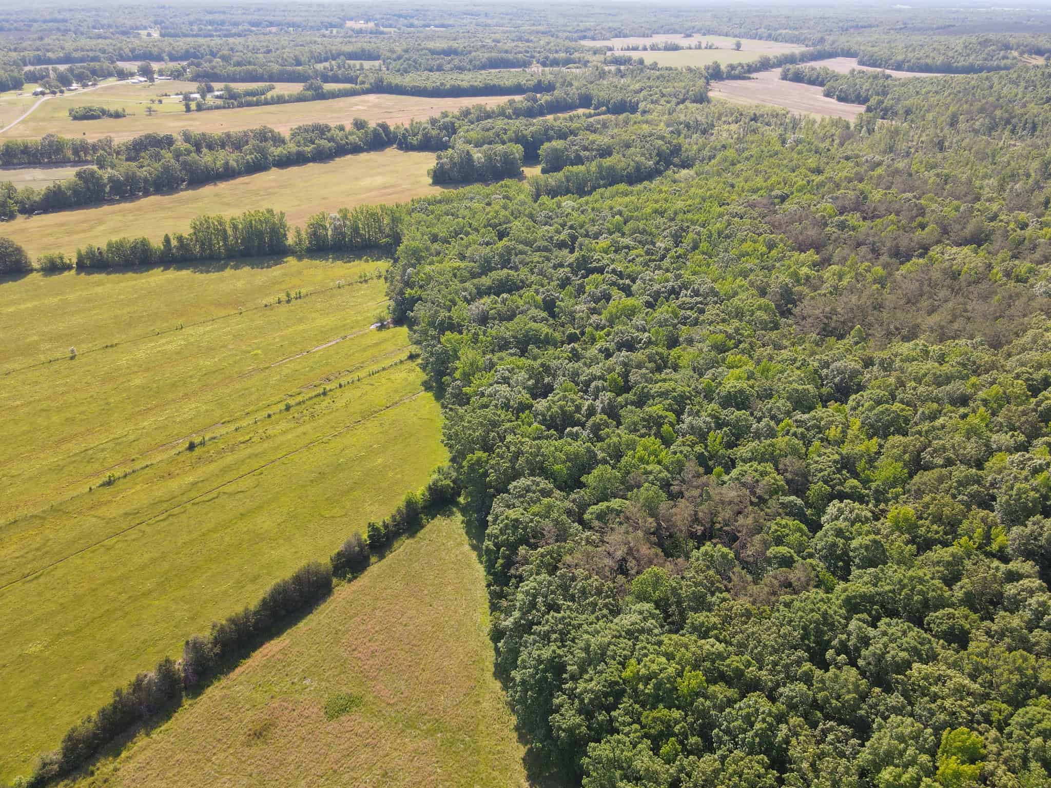 LAND FOR SALE IN TN, HOMESITE, HUNTING, FIELD, TIMBER, CREEK