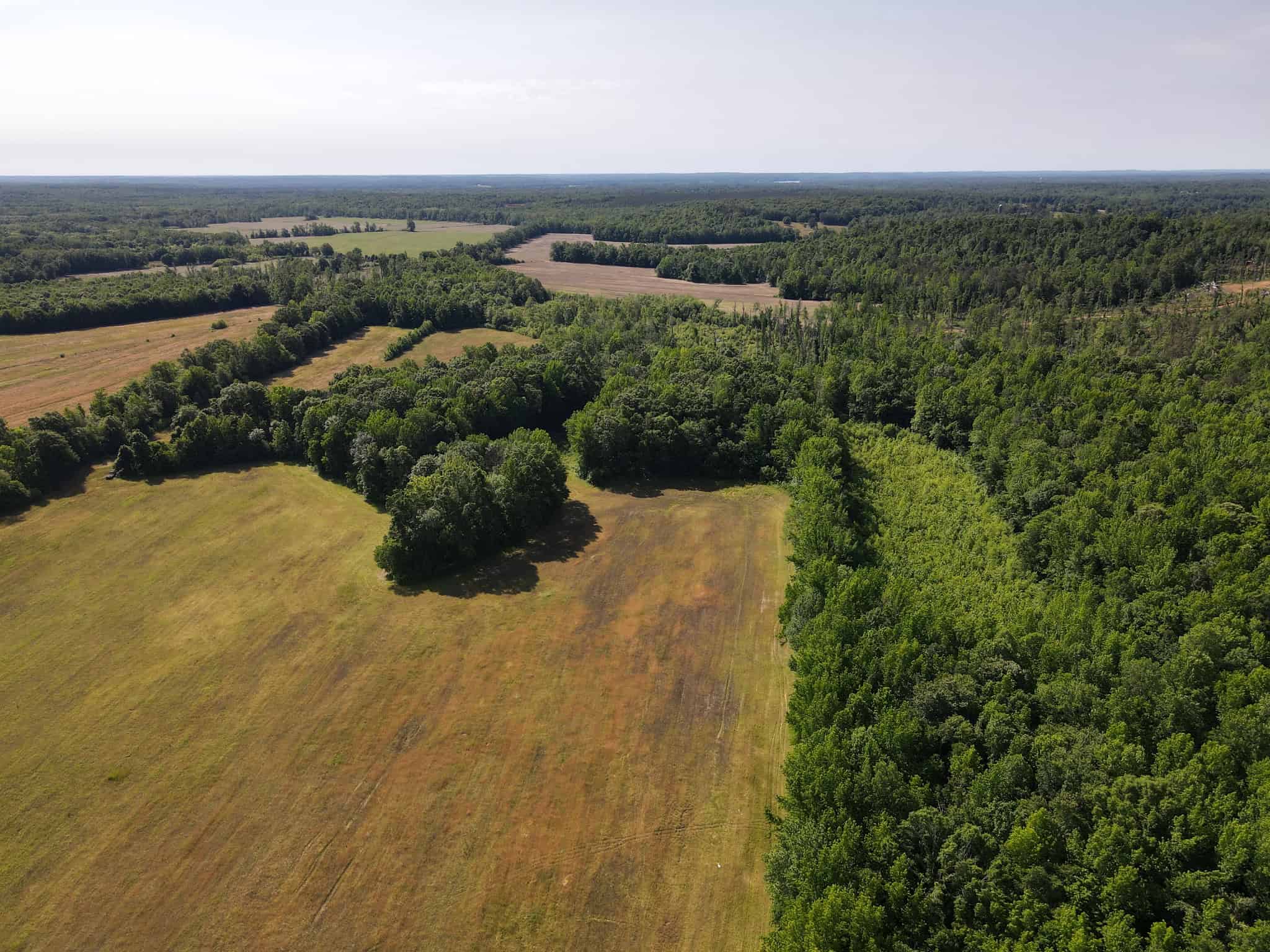 LAND FOR SALE IN TN, HOMESITE, HUNTING, FIELD, TIMBER, CREEK
