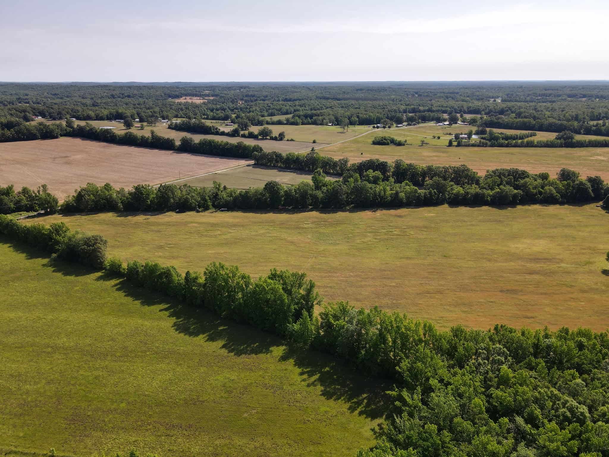 LAND FOR SALE IN TN, HOMESITE, HUNTING, FIELD, TIMBER, CREEK