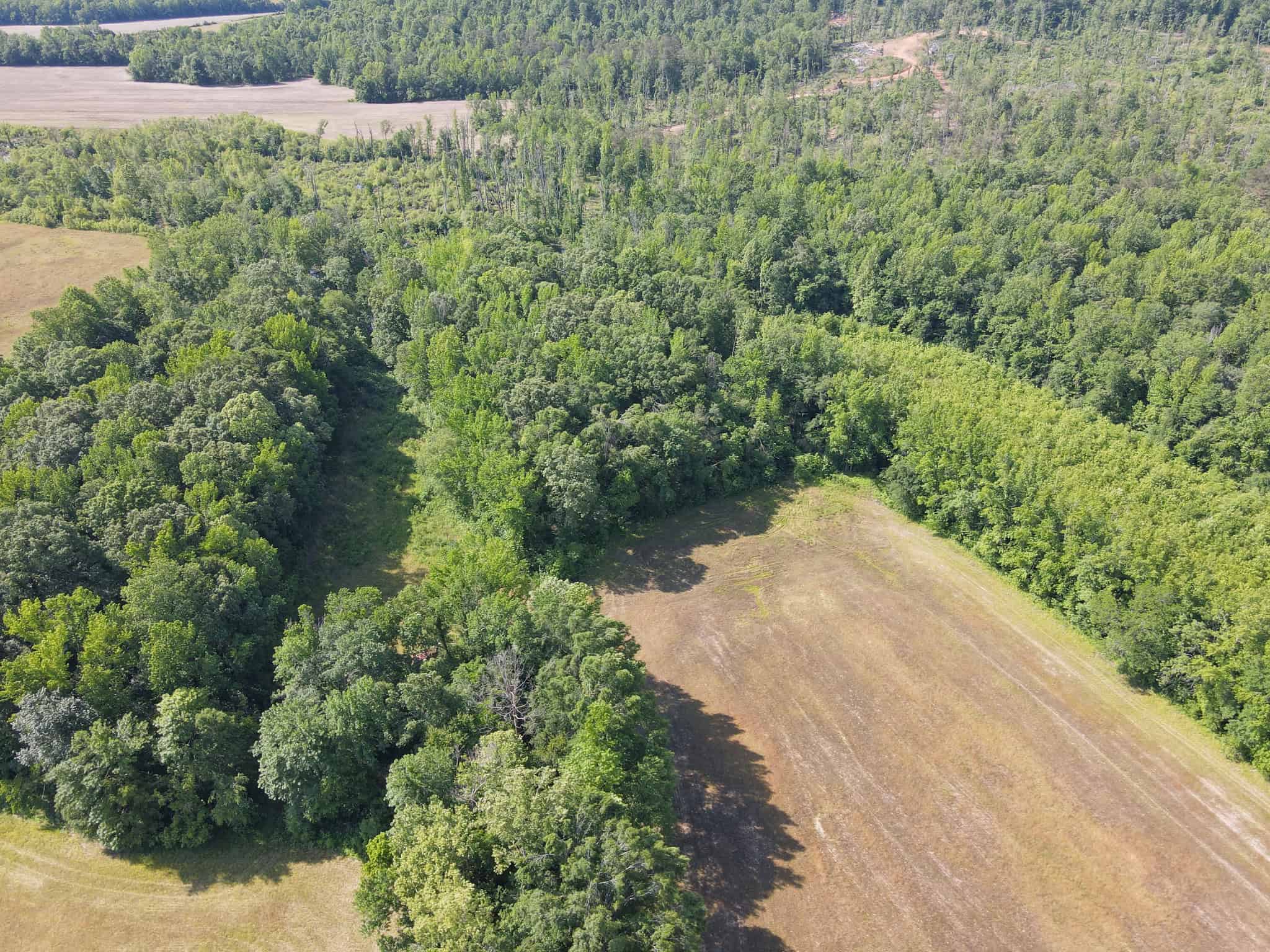 LAND FOR SALE IN TN, HOMESITE, HUNTING, FIELD, TIMBER, CREEK