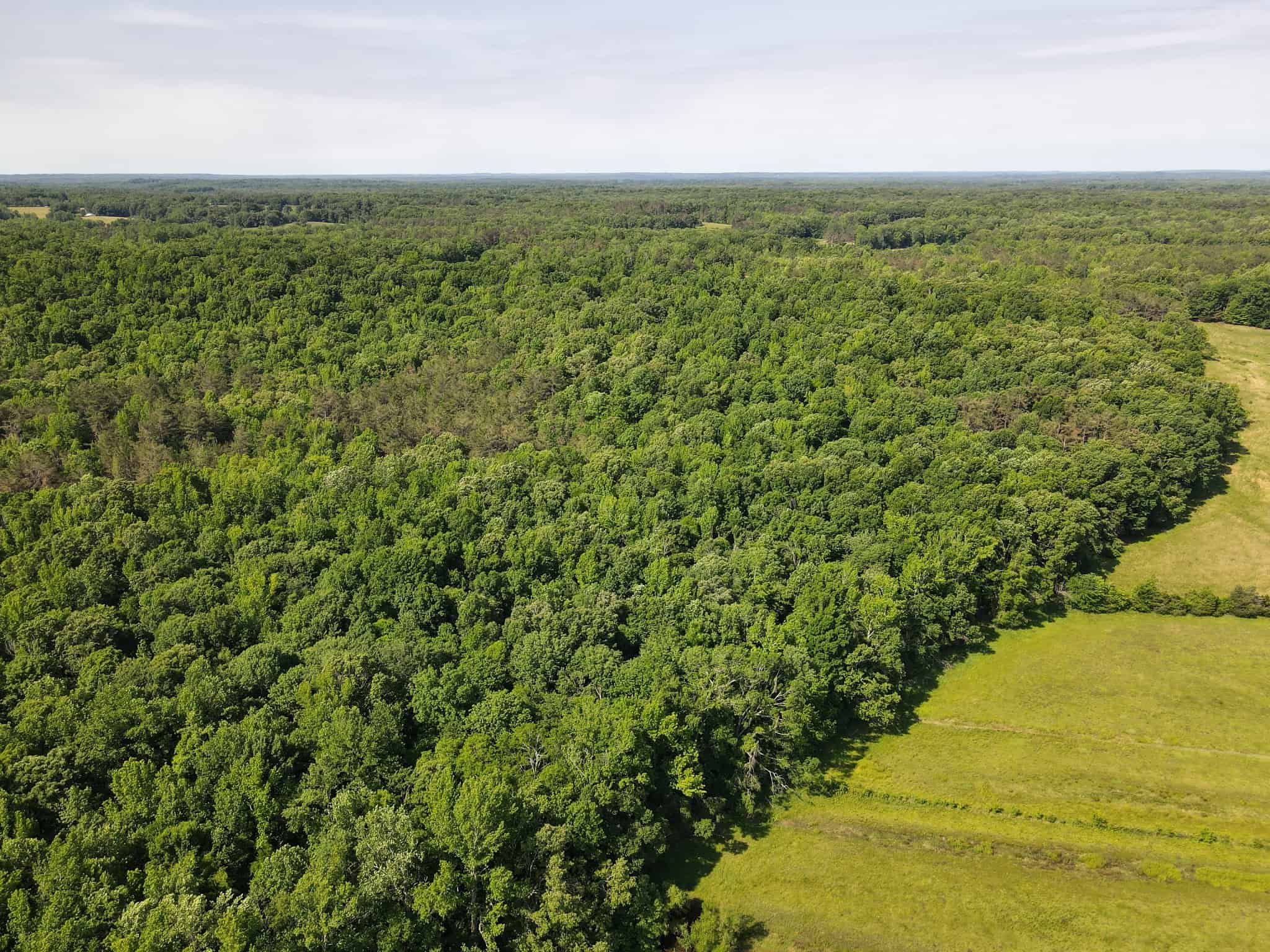 LAND FOR SALE IN TN, HOMESITE, HUNTING, FIELD, TIMBER, CREEK