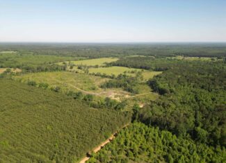 ±92 Acres Hunting & Timber Land in East TX