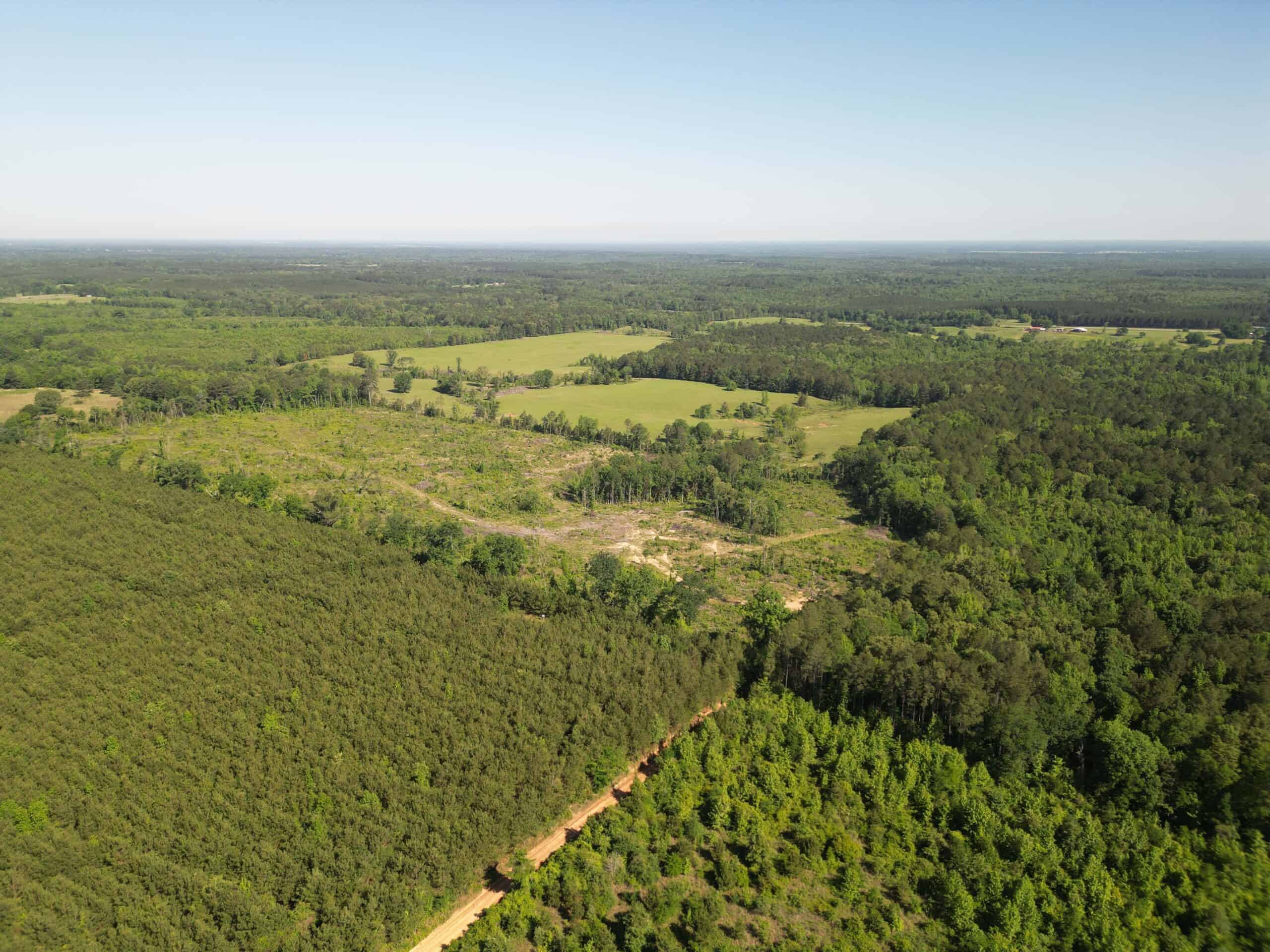 ±92 Acres Hunting & Timber Land in East TX