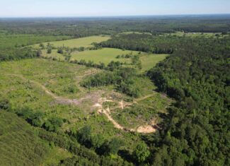 ±92 Acres Hunting & Timber Land in East TX
