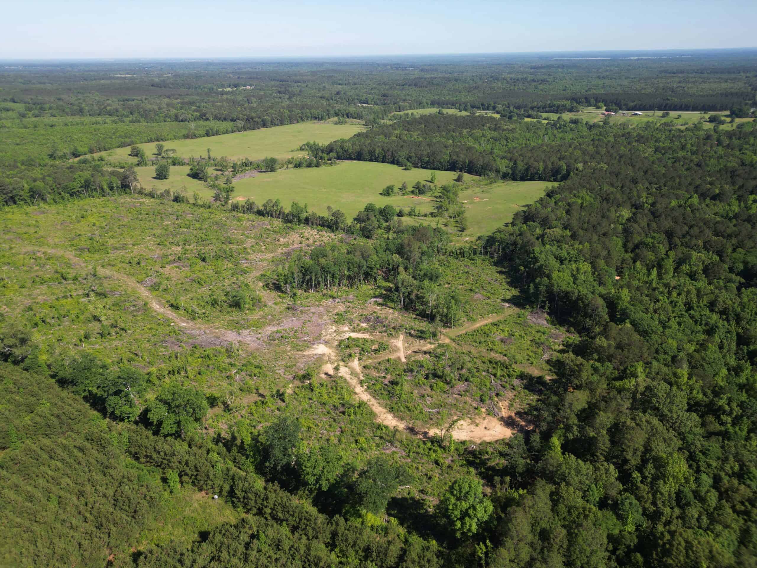 ±92 Acres Hunting & Timber Land in East TX