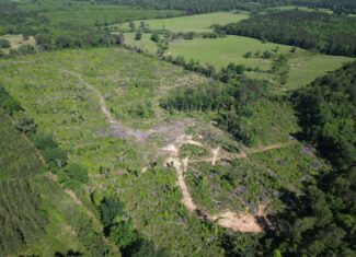 ±92 Acres Hunting & Timber Land in East TX
