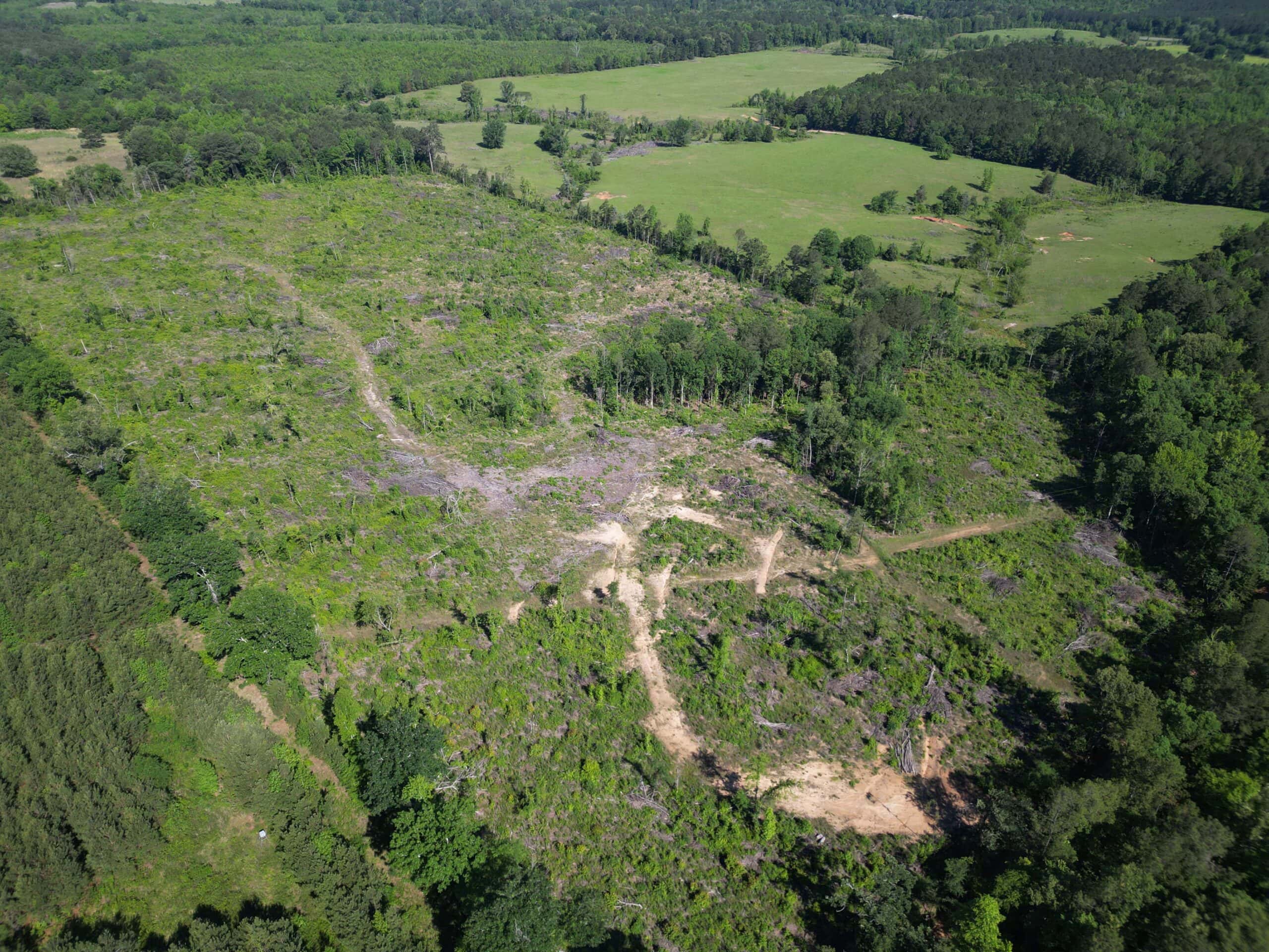 ±92 Acres Hunting & Timber Land in East TX