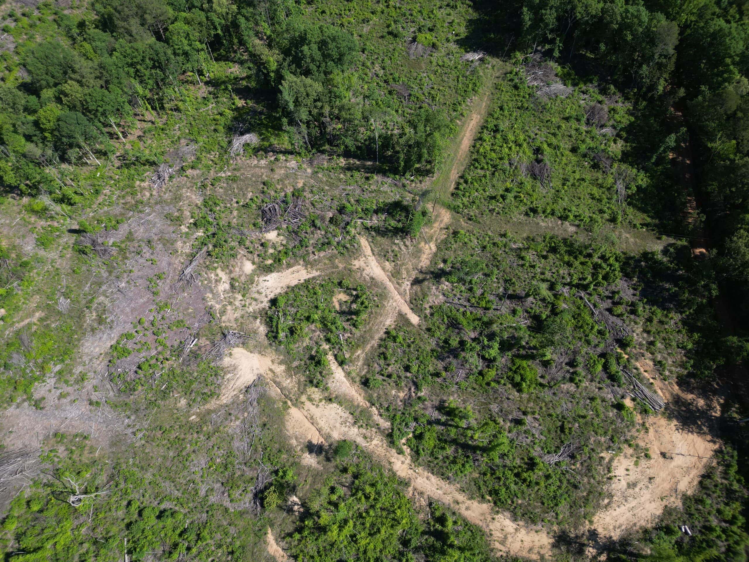 ±92 Acres Hunting & Timber Land in East TX