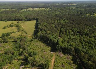 ±92 Acres Hunting & Timber Land in East TX