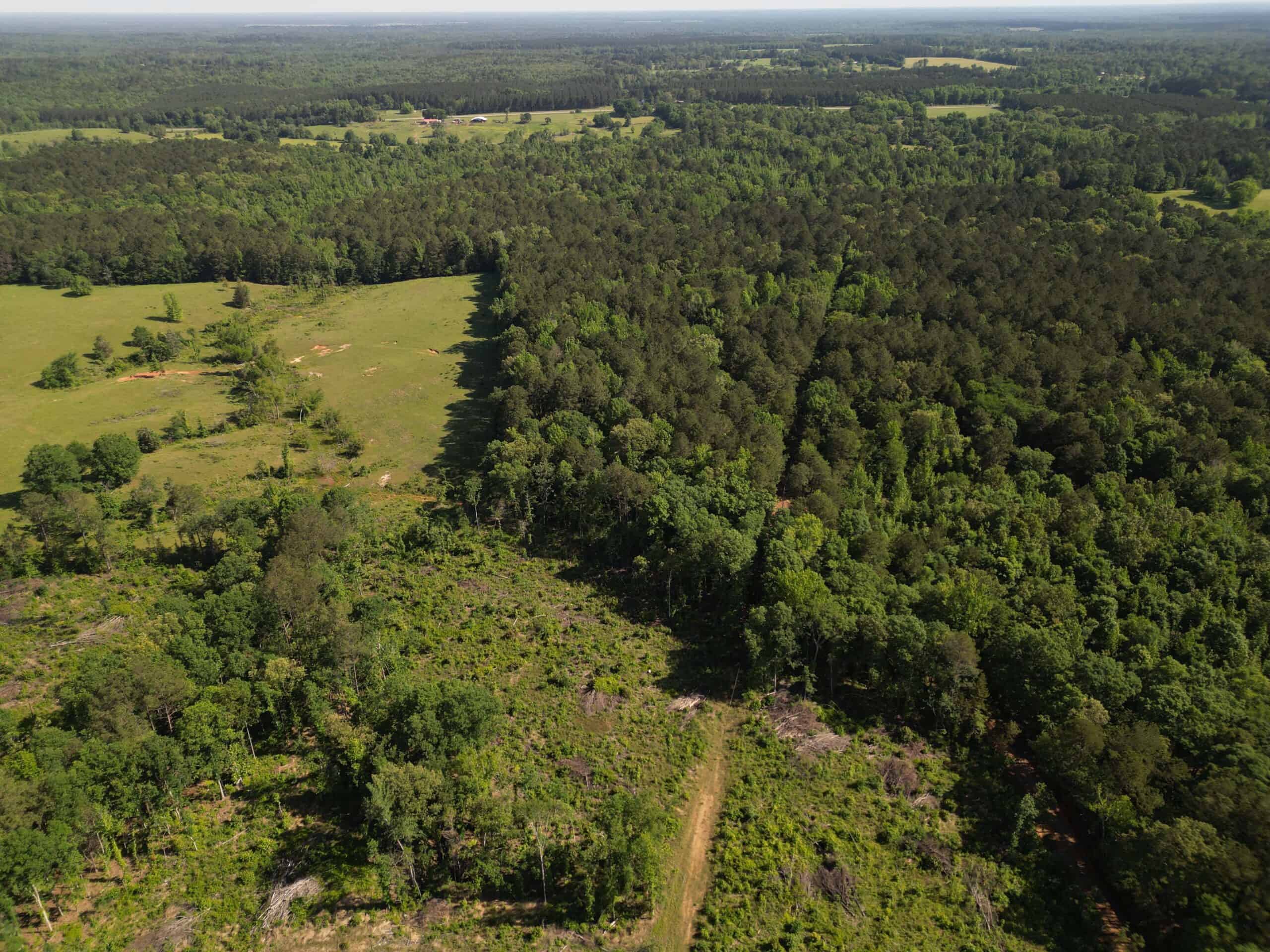 ±92 Acres Hunting & Timber Land in East TX