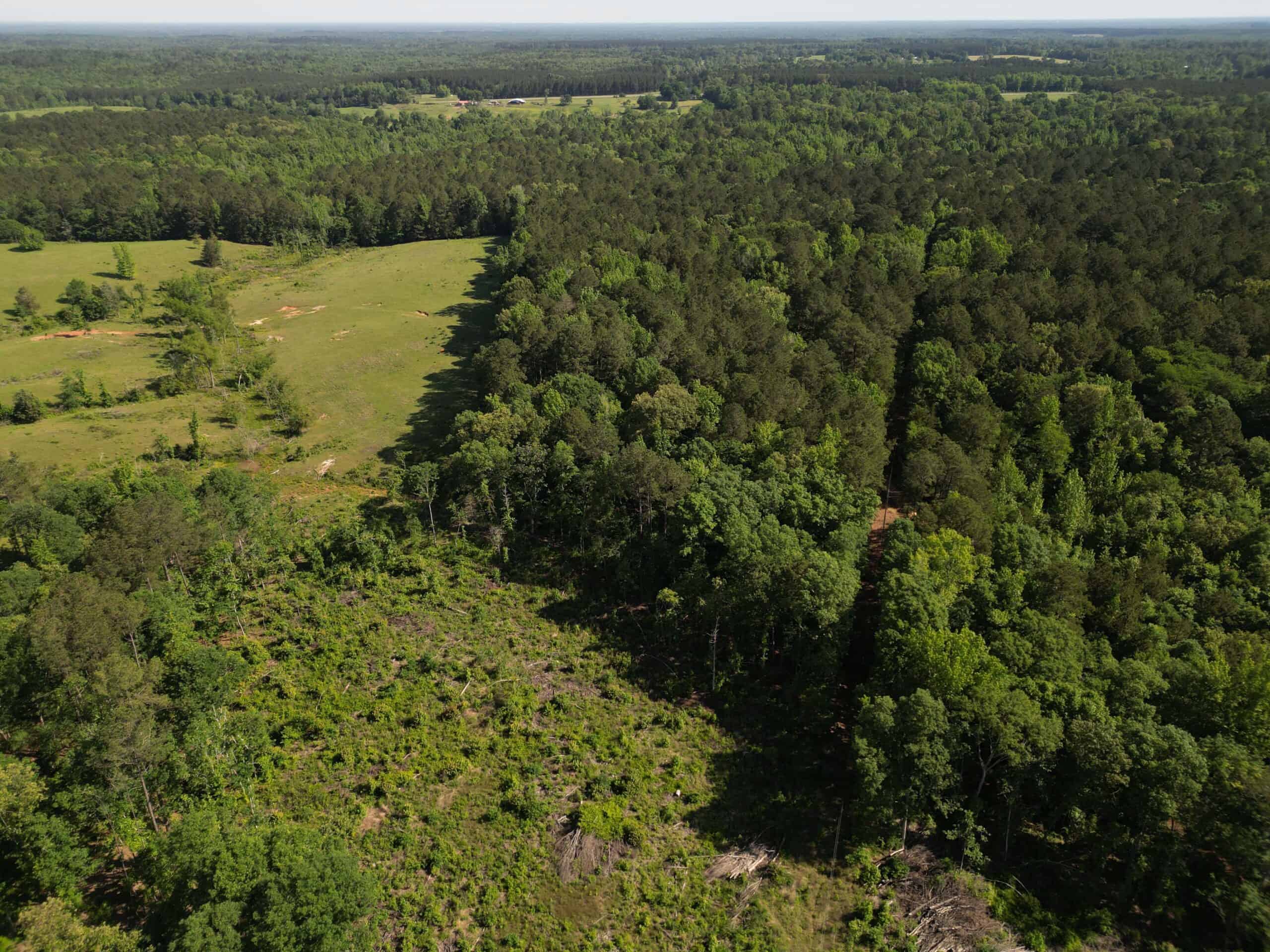 ±92 Acres Hunting & Timber Land in East TX