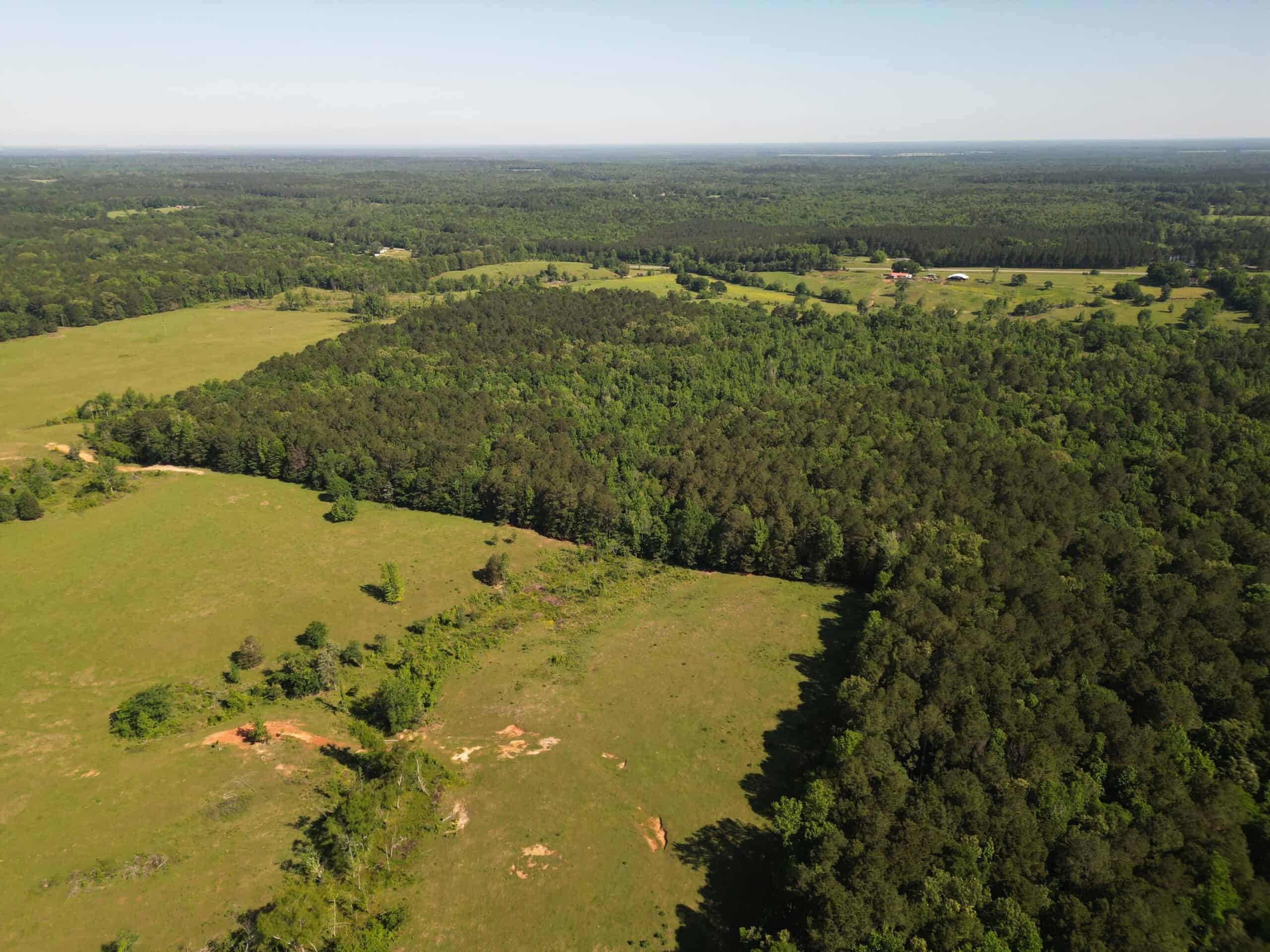 ±92 Acres Hunting & Timber Land in East TX