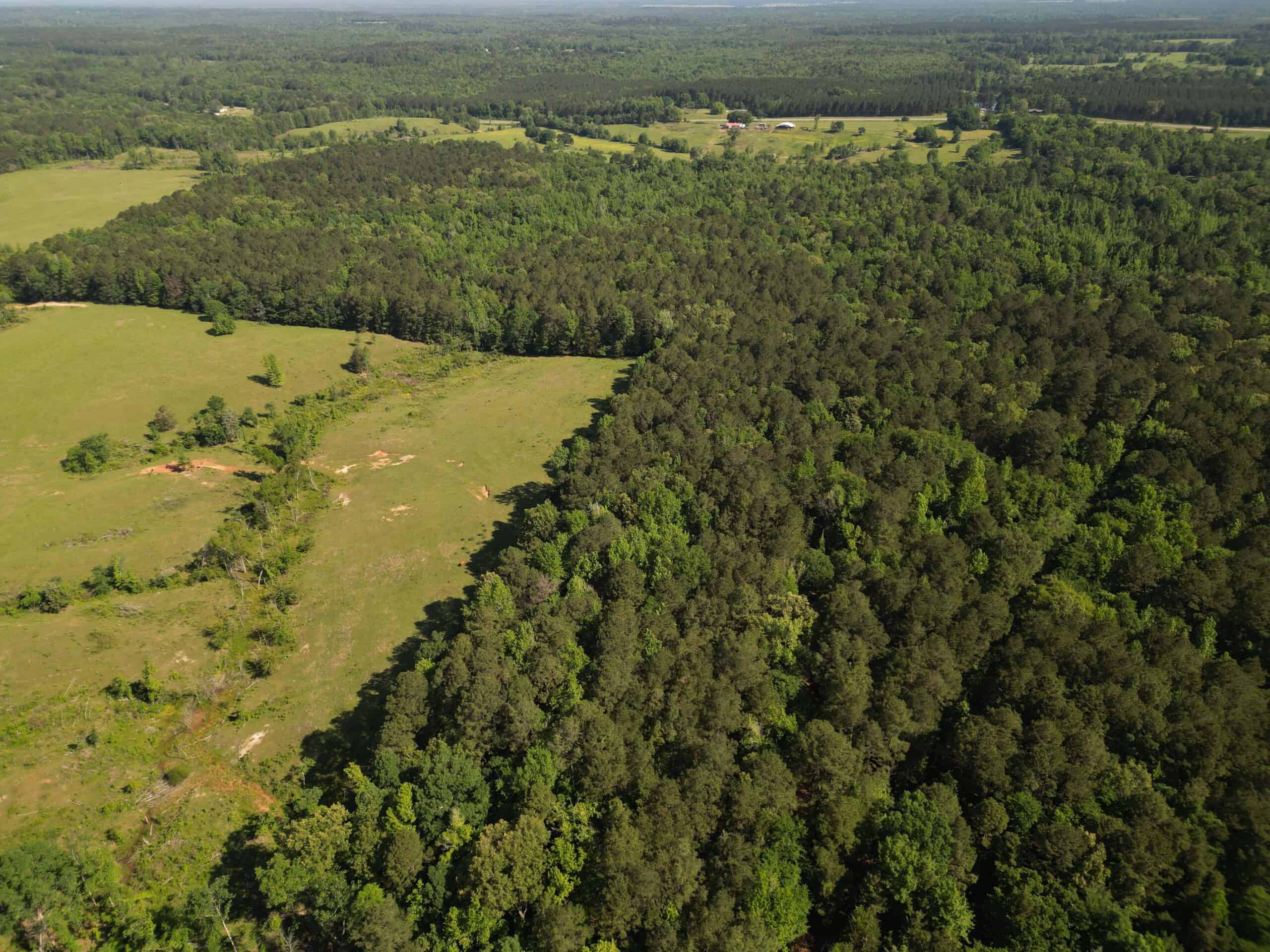 ±92 Acres Hunting & Timber Land in East TX