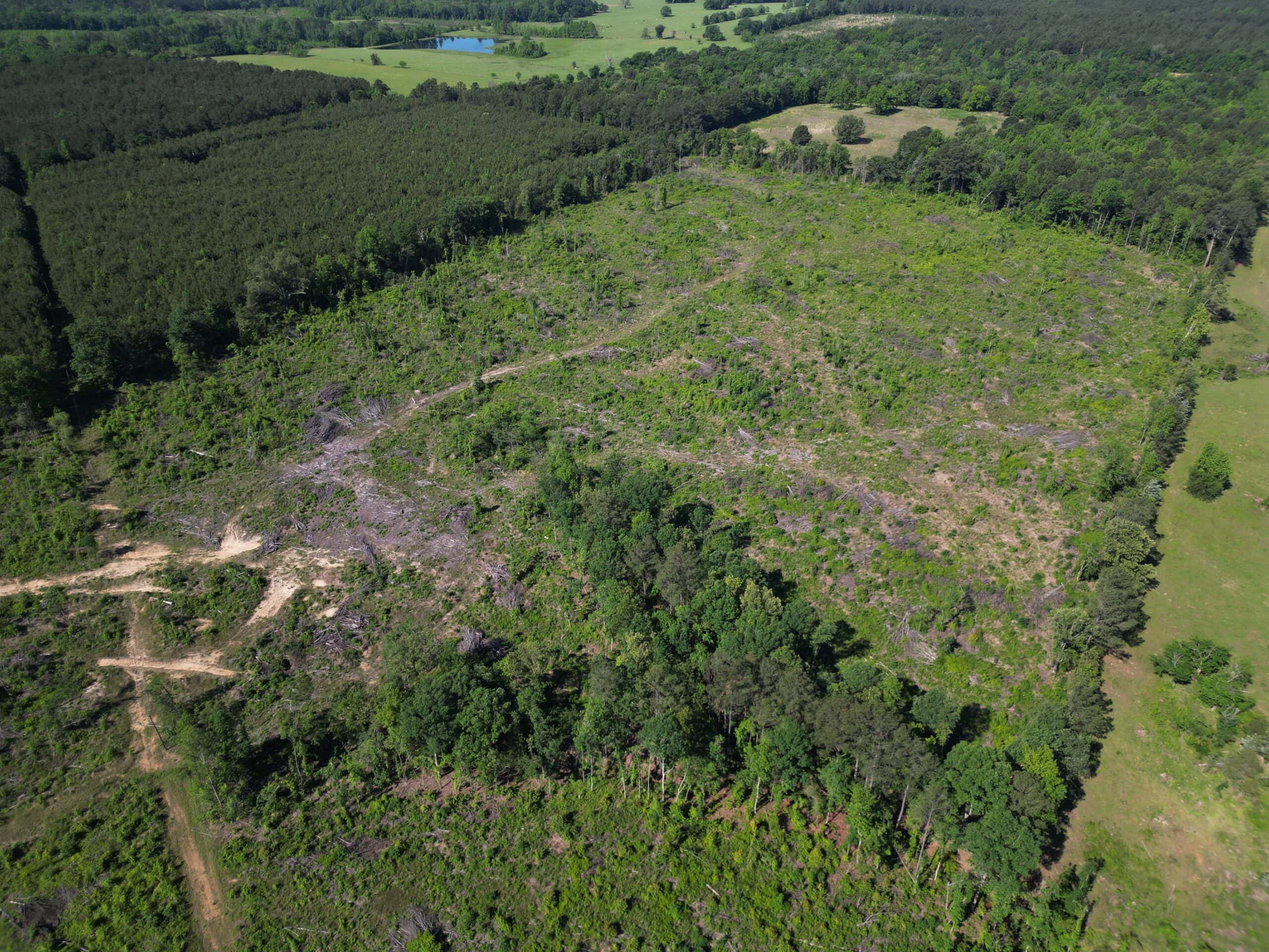 ±92 Acres Hunting & Timber Land in East TX