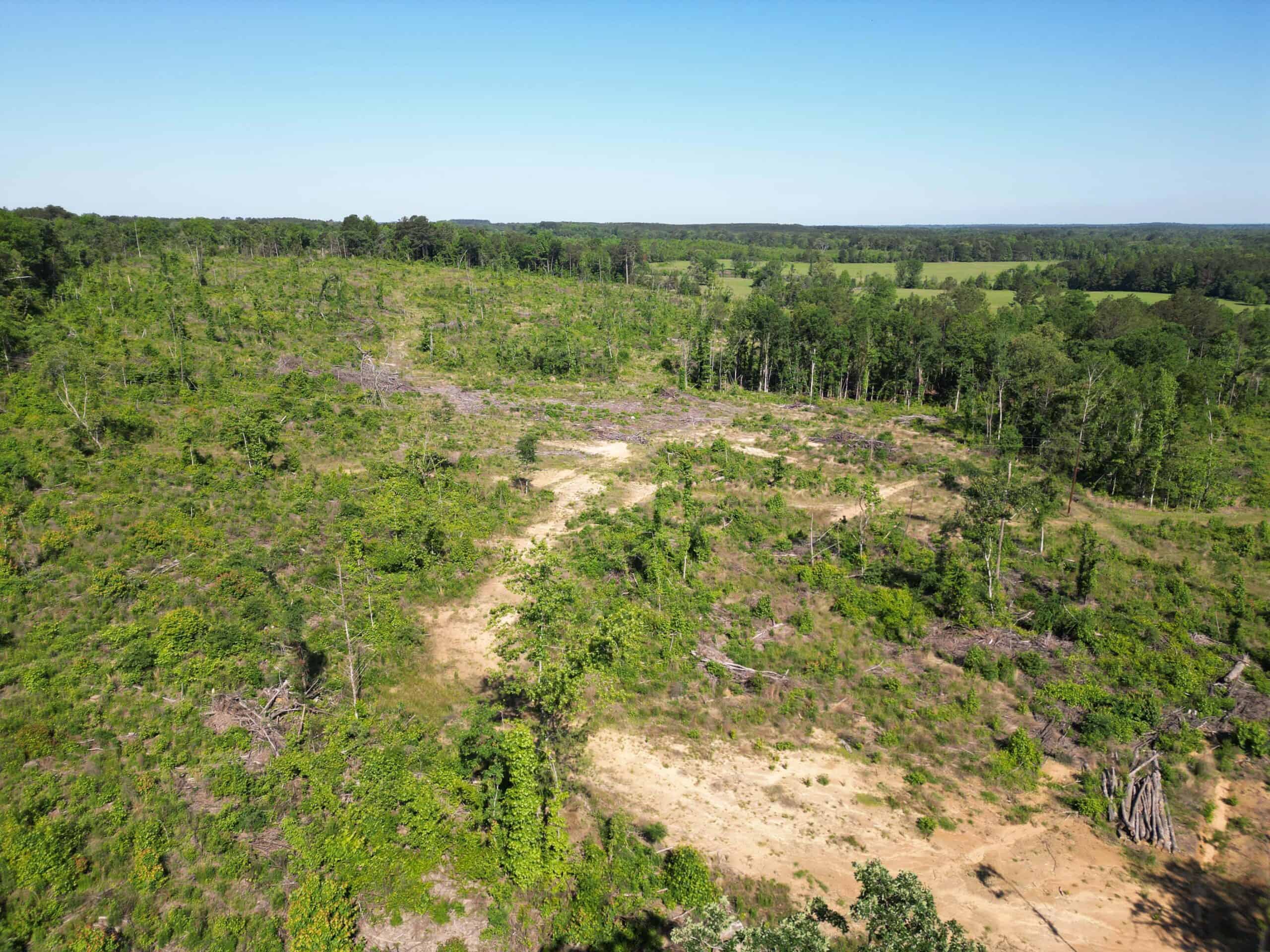 ±92 Acres Hunting & Timber Land in East TX