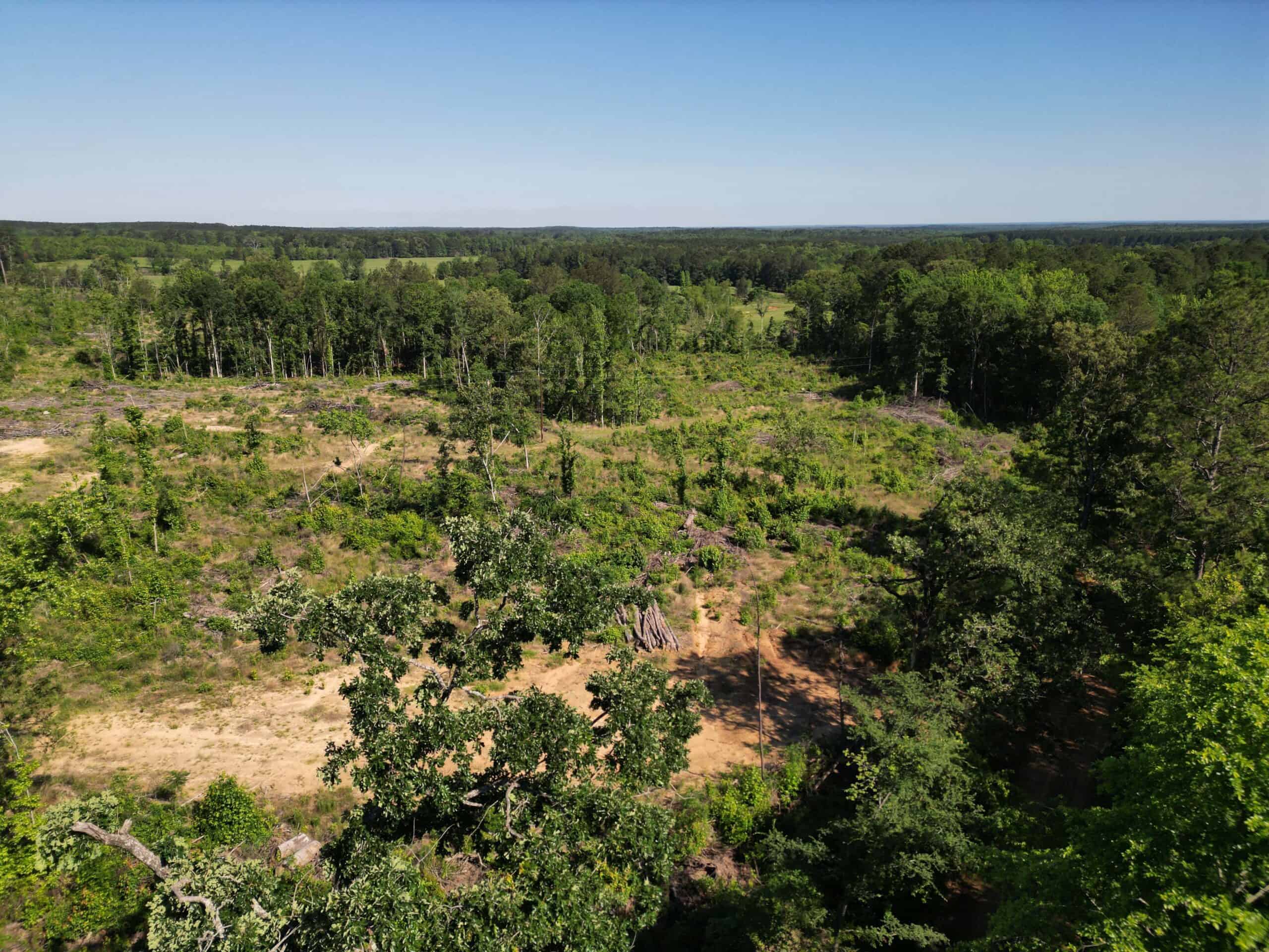 ±92 Acres Hunting & Timber Land in East TX