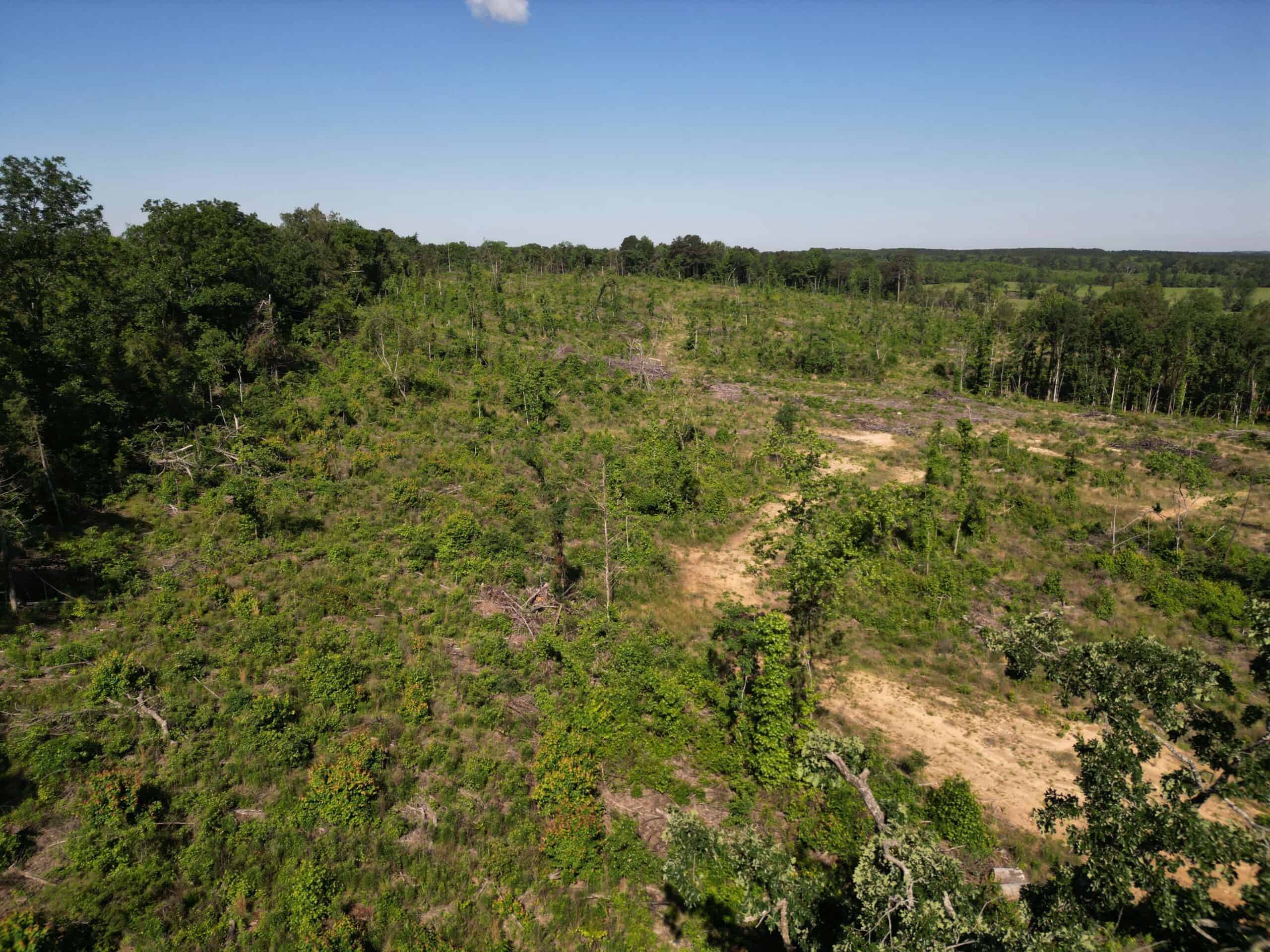 ±92 Acres Hunting & Timber Land in East TX