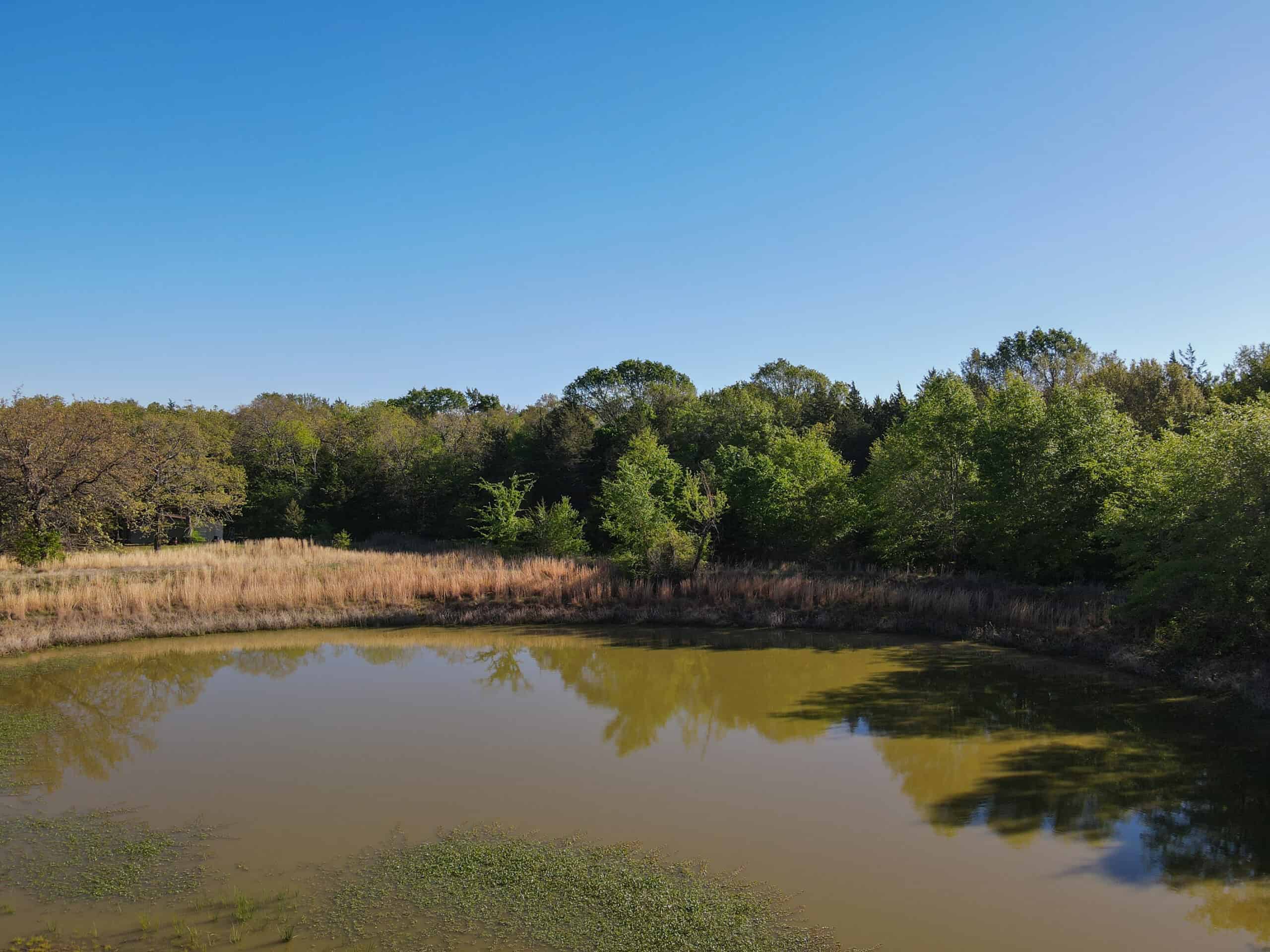 Texas Hunting & Recreational Land Auction