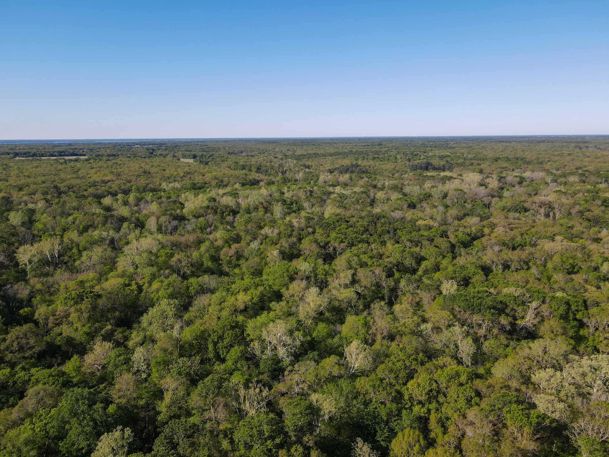 Texas Hunting & Recreational Land Auction