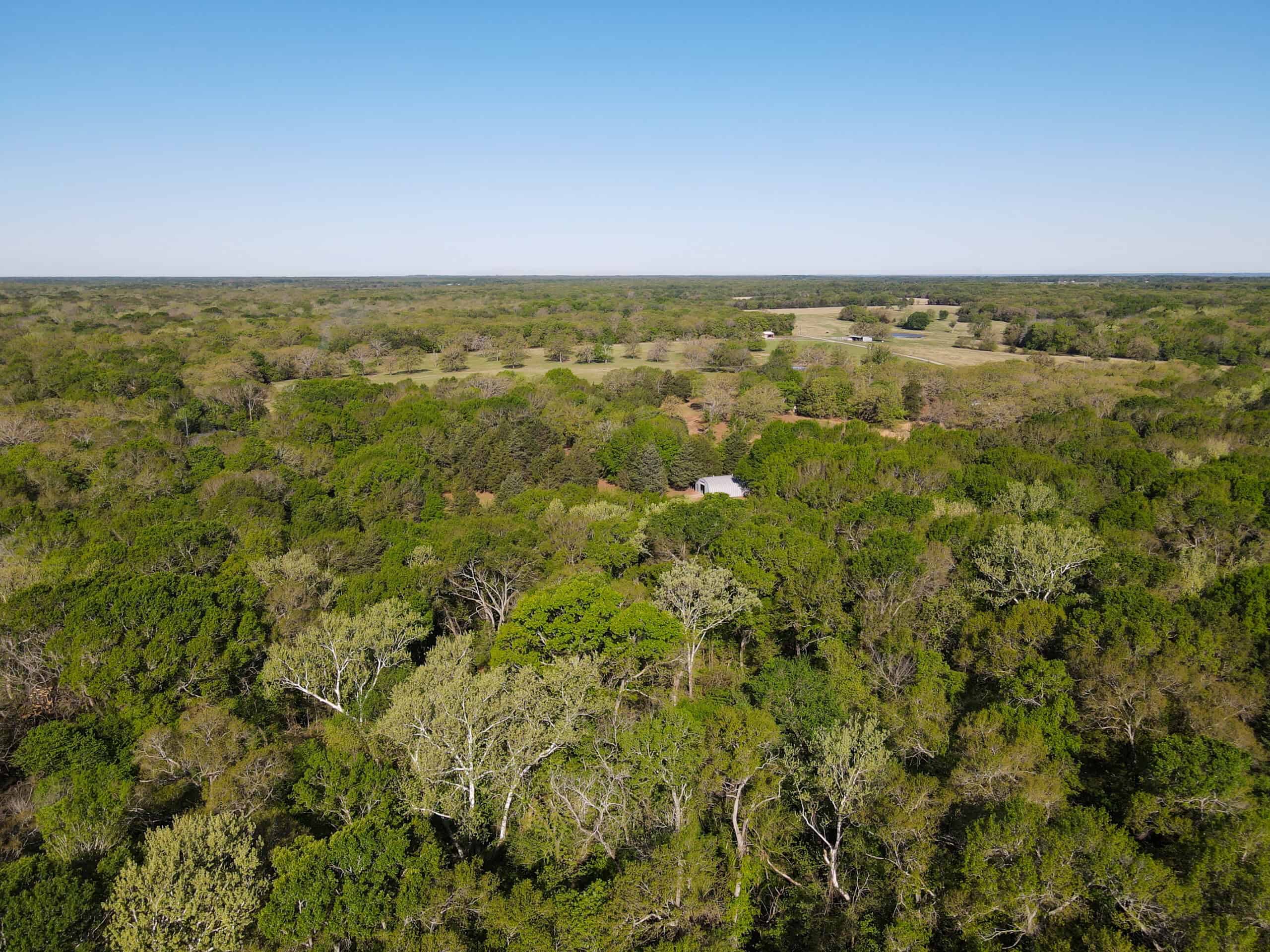 Texas Hunting & Recreational Land Auction