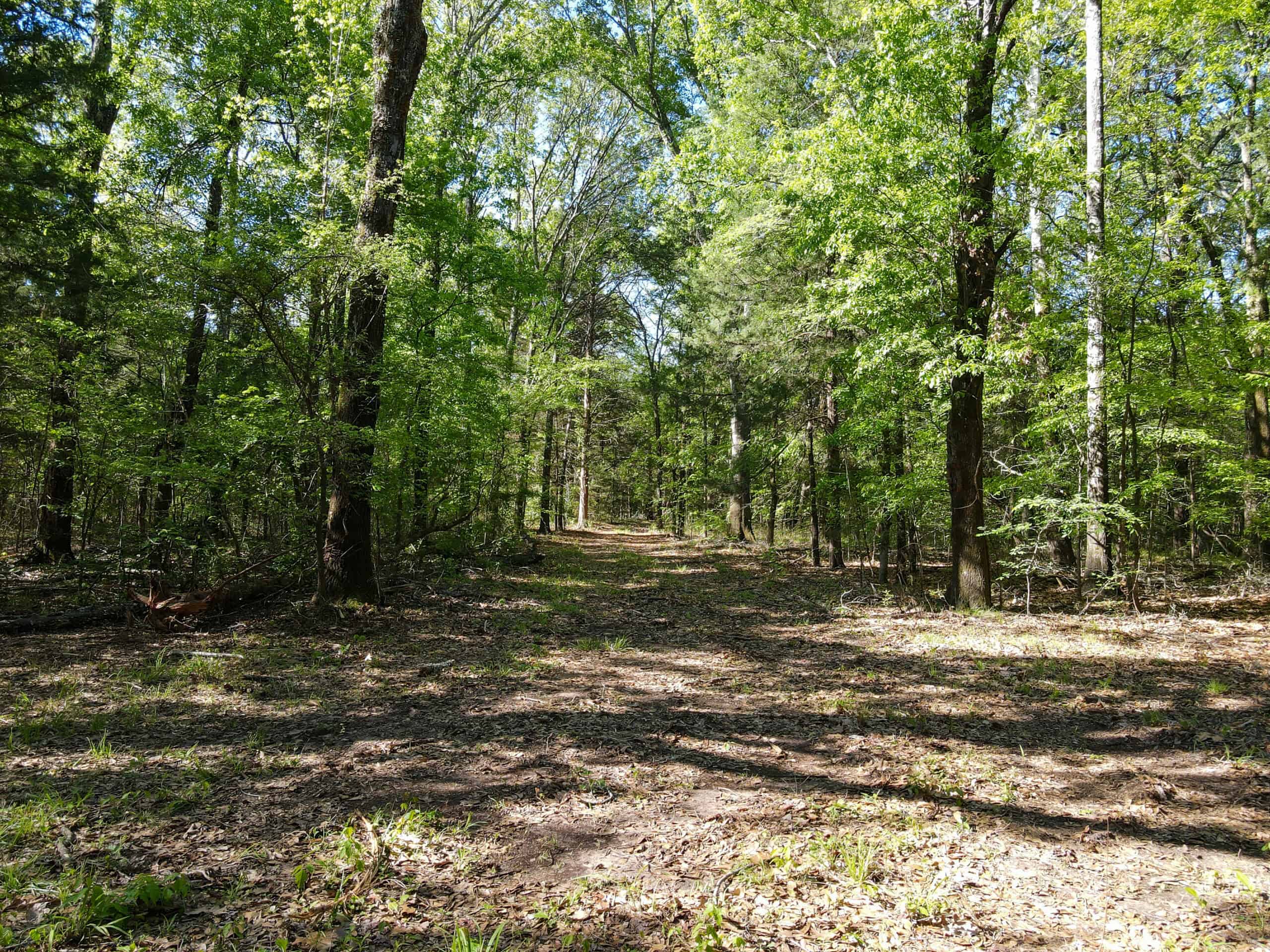Texas Hunting & Recreational Land Auction