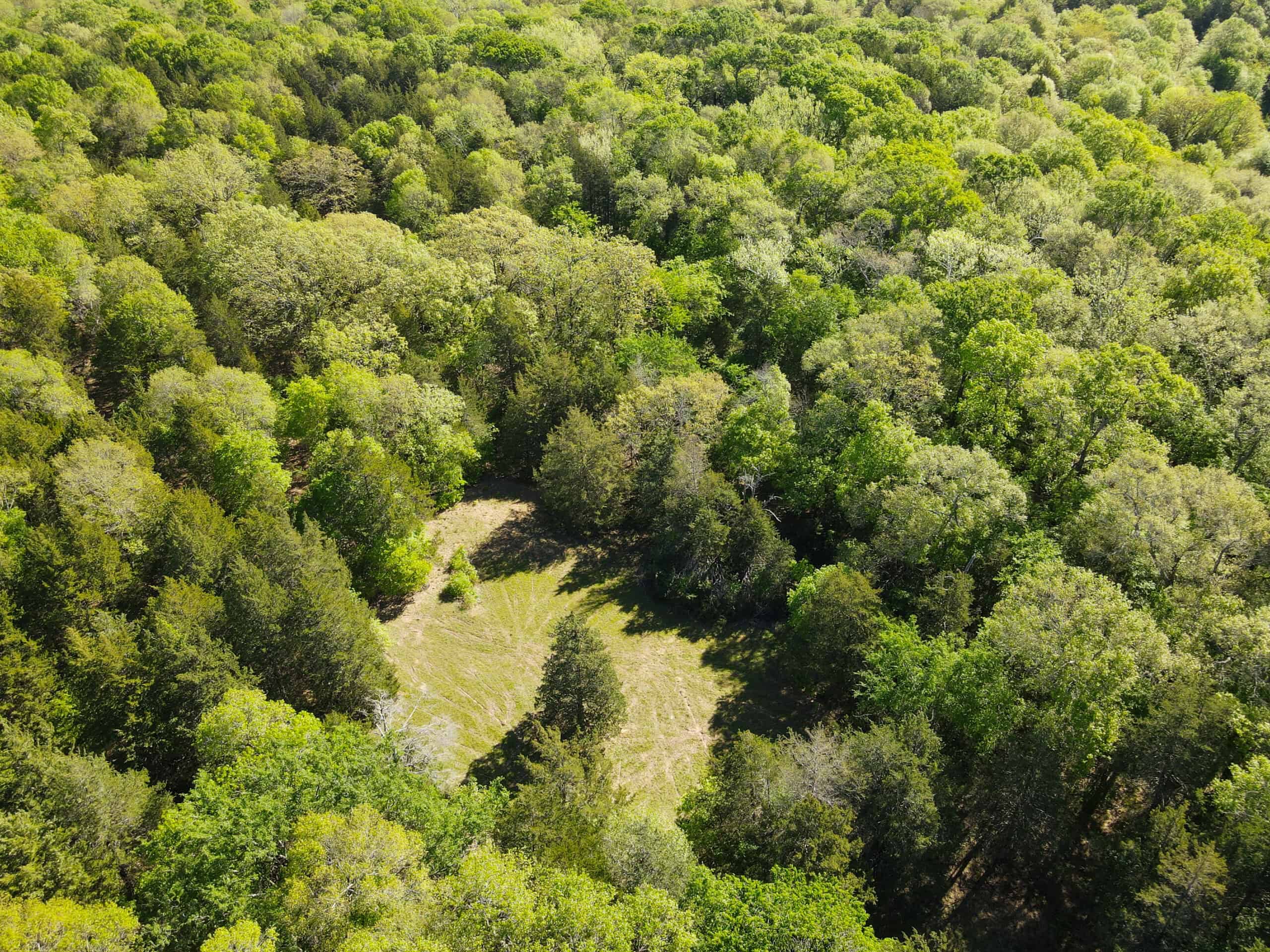 Texas Hunting & Recreational Land Auction