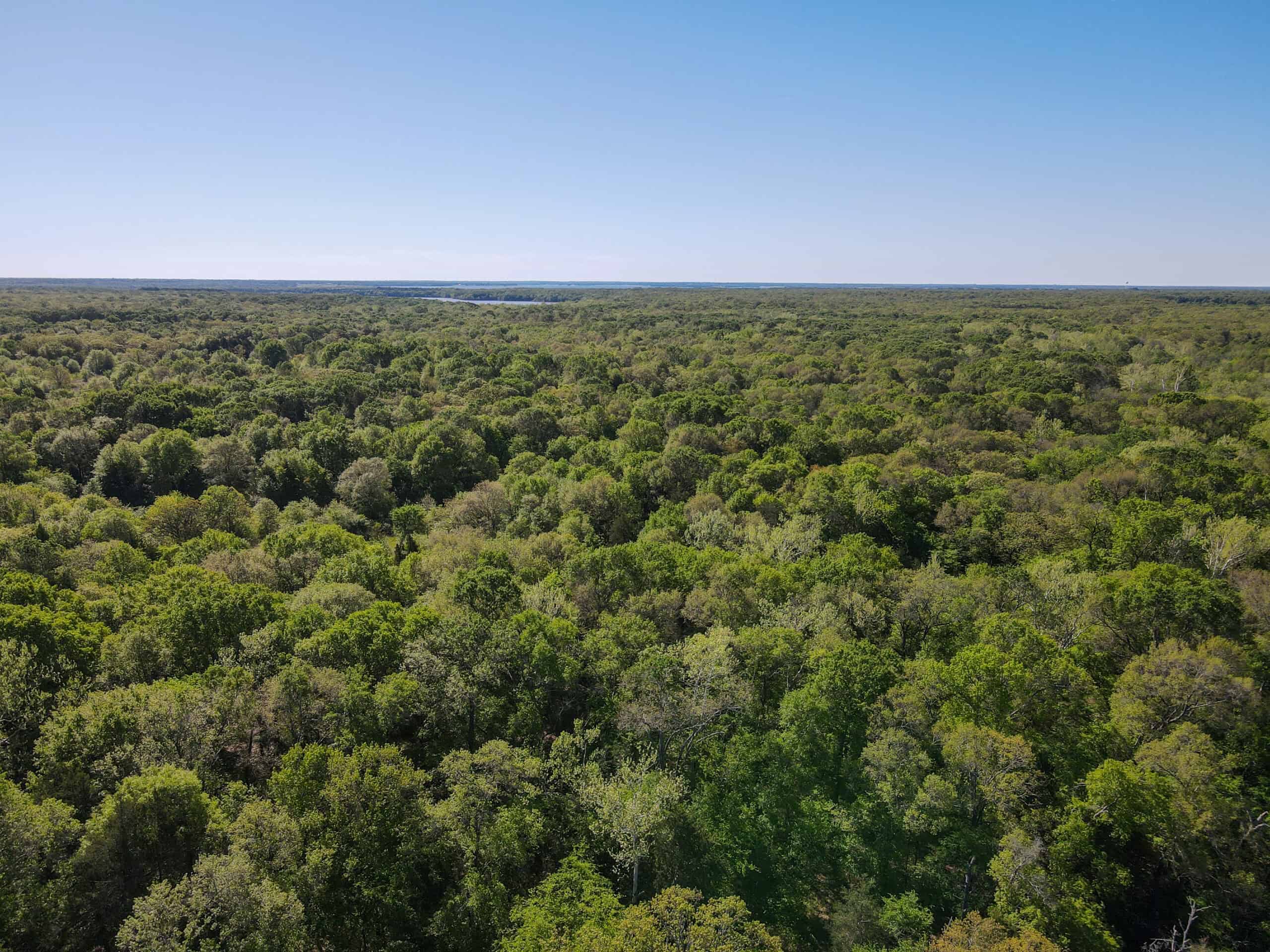 Texas Hunting & Recreational Land Auction