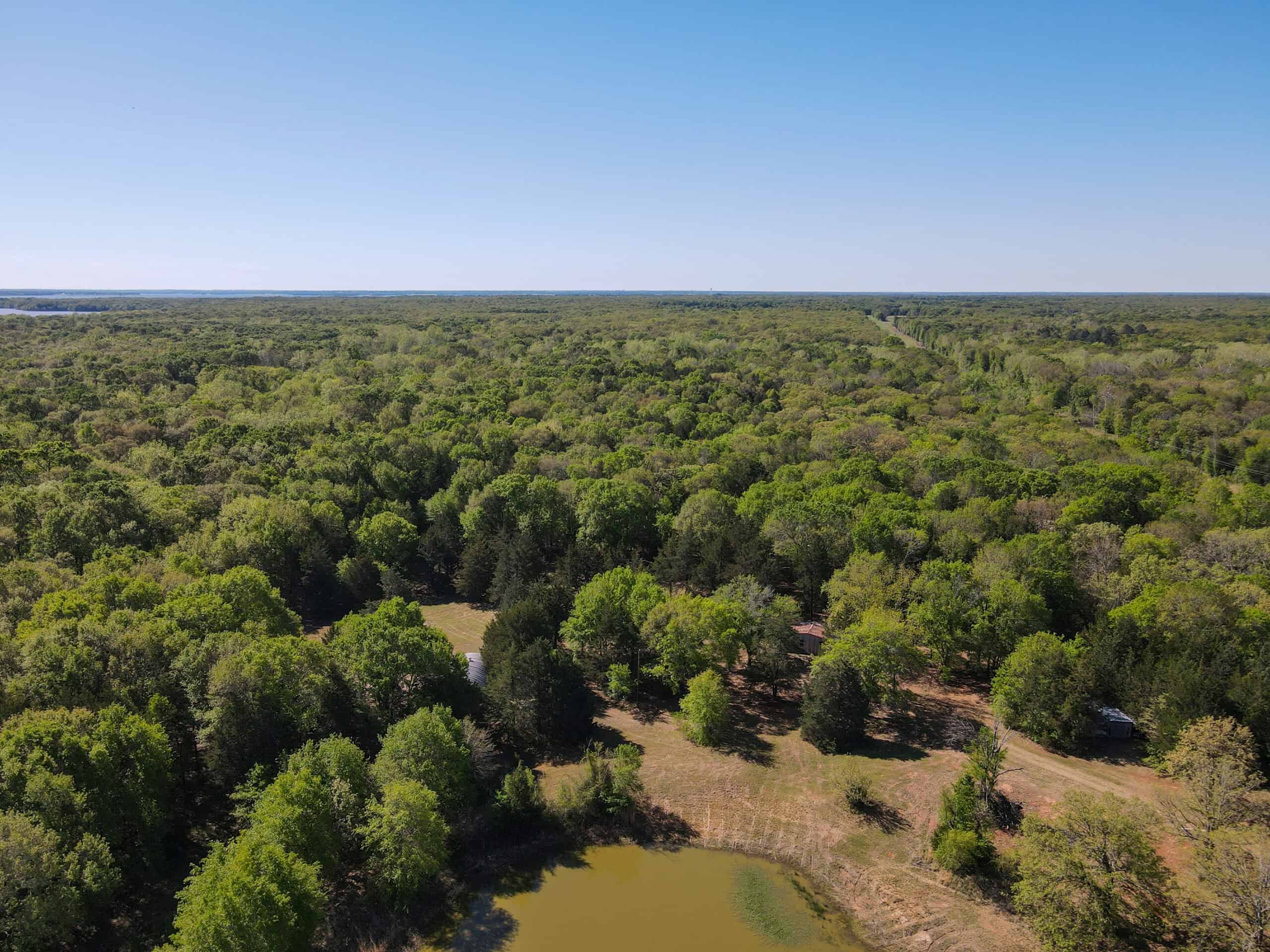 Texas Hunting & Recreational Land Auction