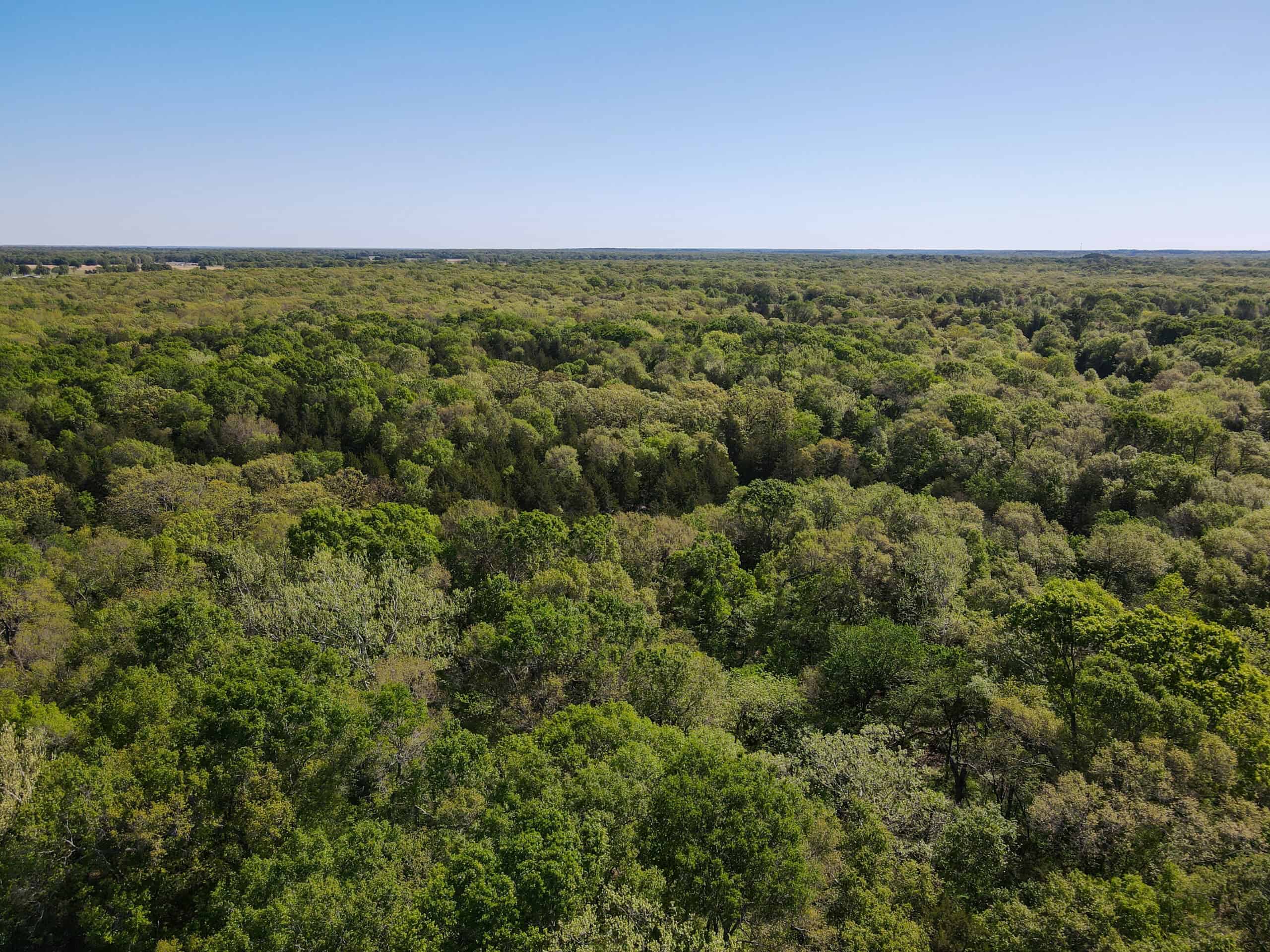 Texas Hunting & Recreational Land Auction