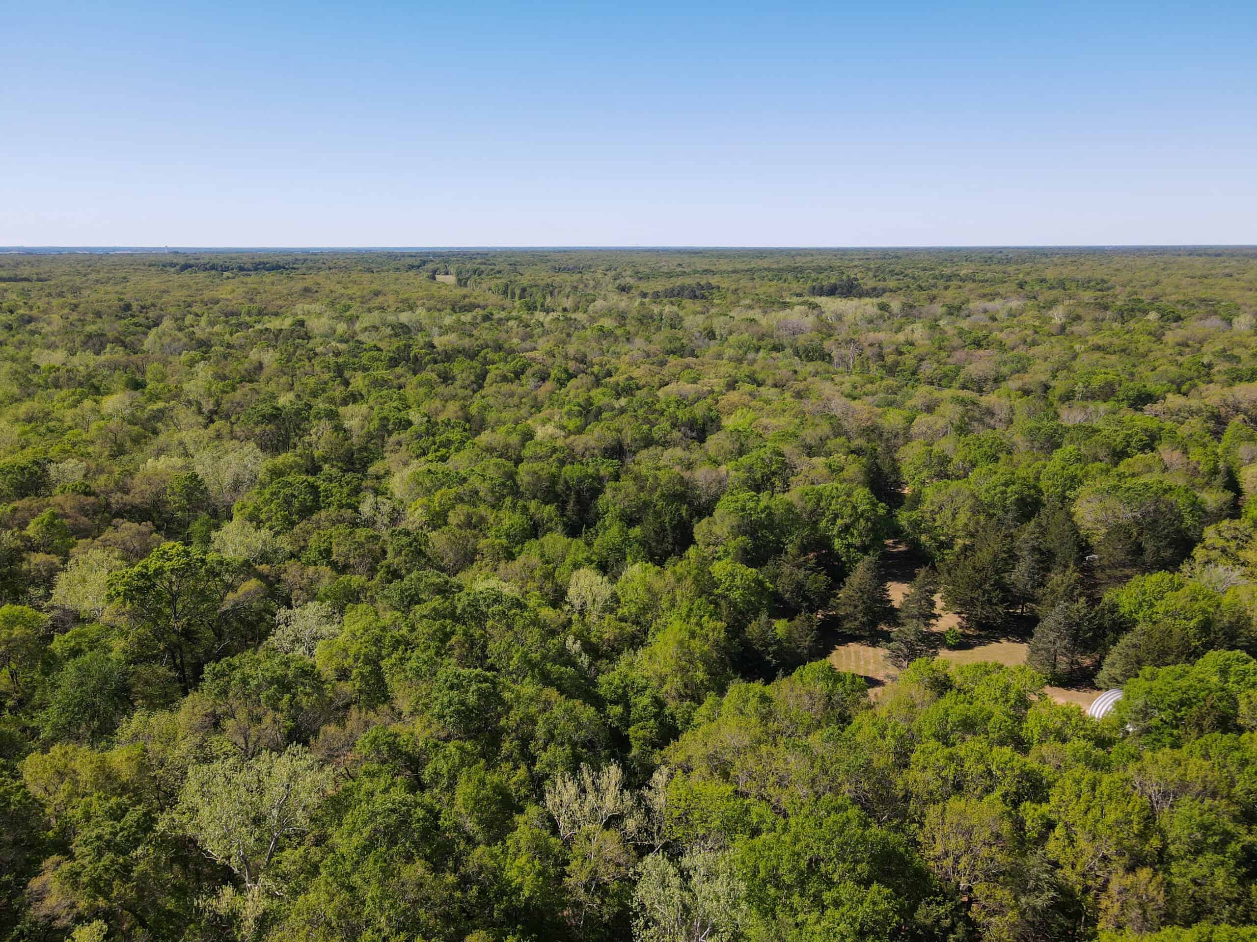 Texas Hunting & Recreational Land Auction