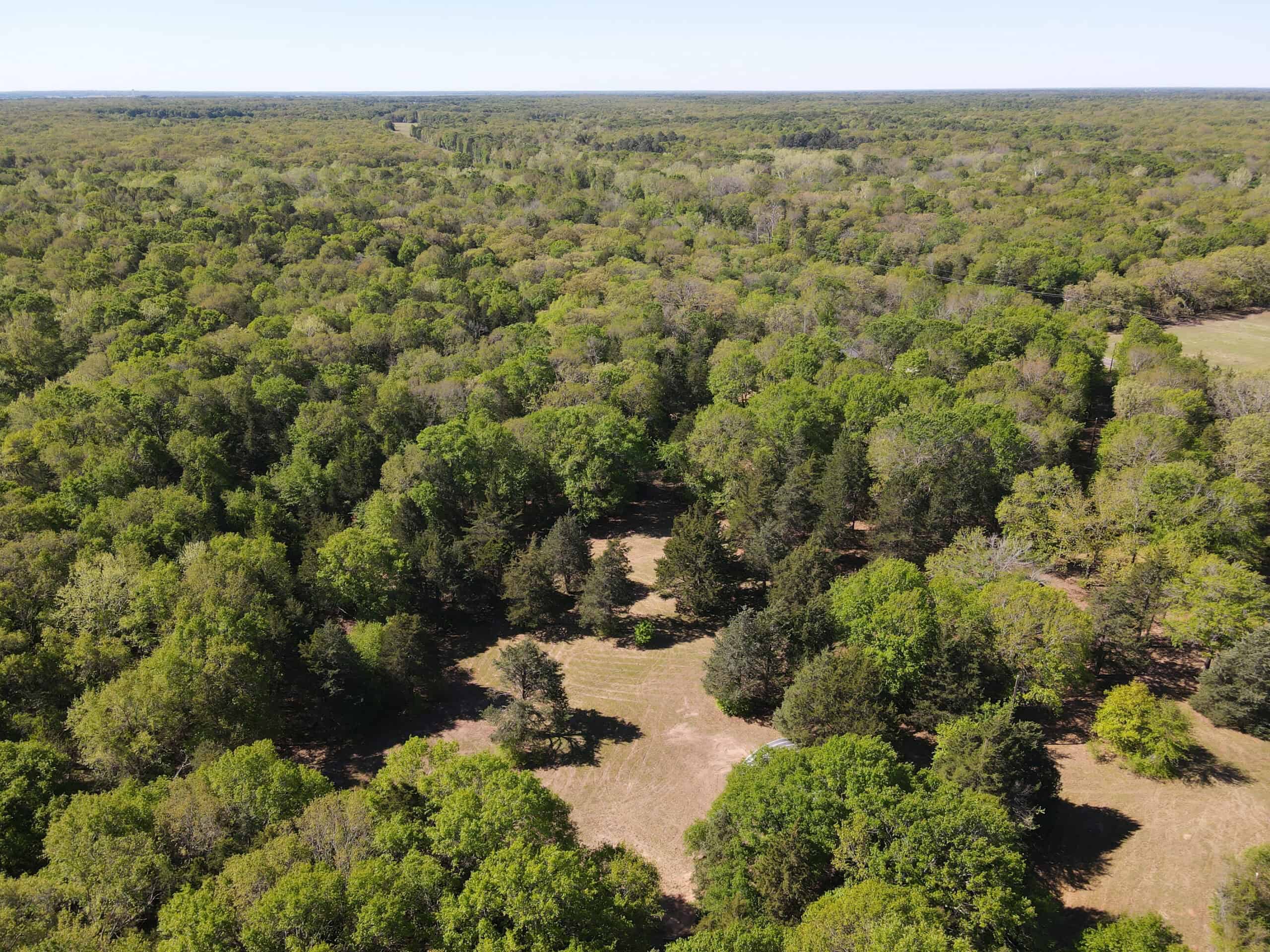 Texas Hunting & Recreational Land Auction