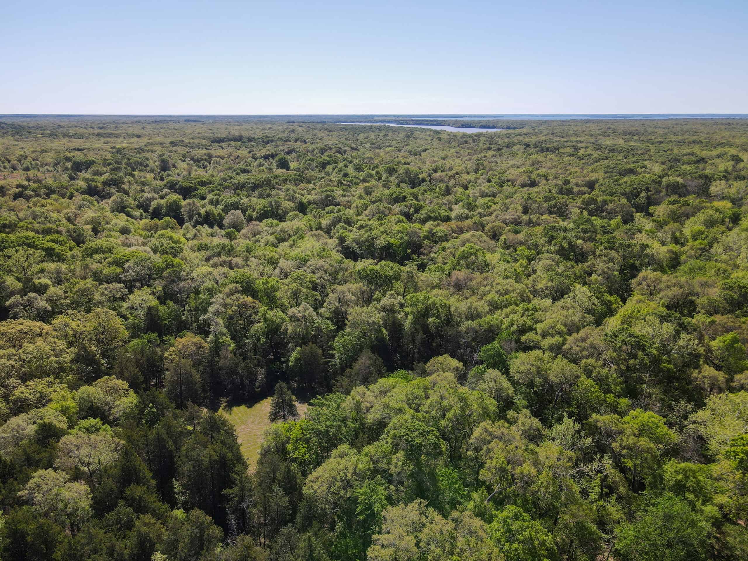 Texas Hunting & Recreational Land Auction