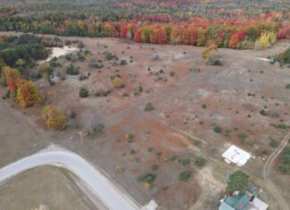 94 Acres of Prime Northern Michigan Land – Surveyed, Buildable, & Loaded with Wildlife