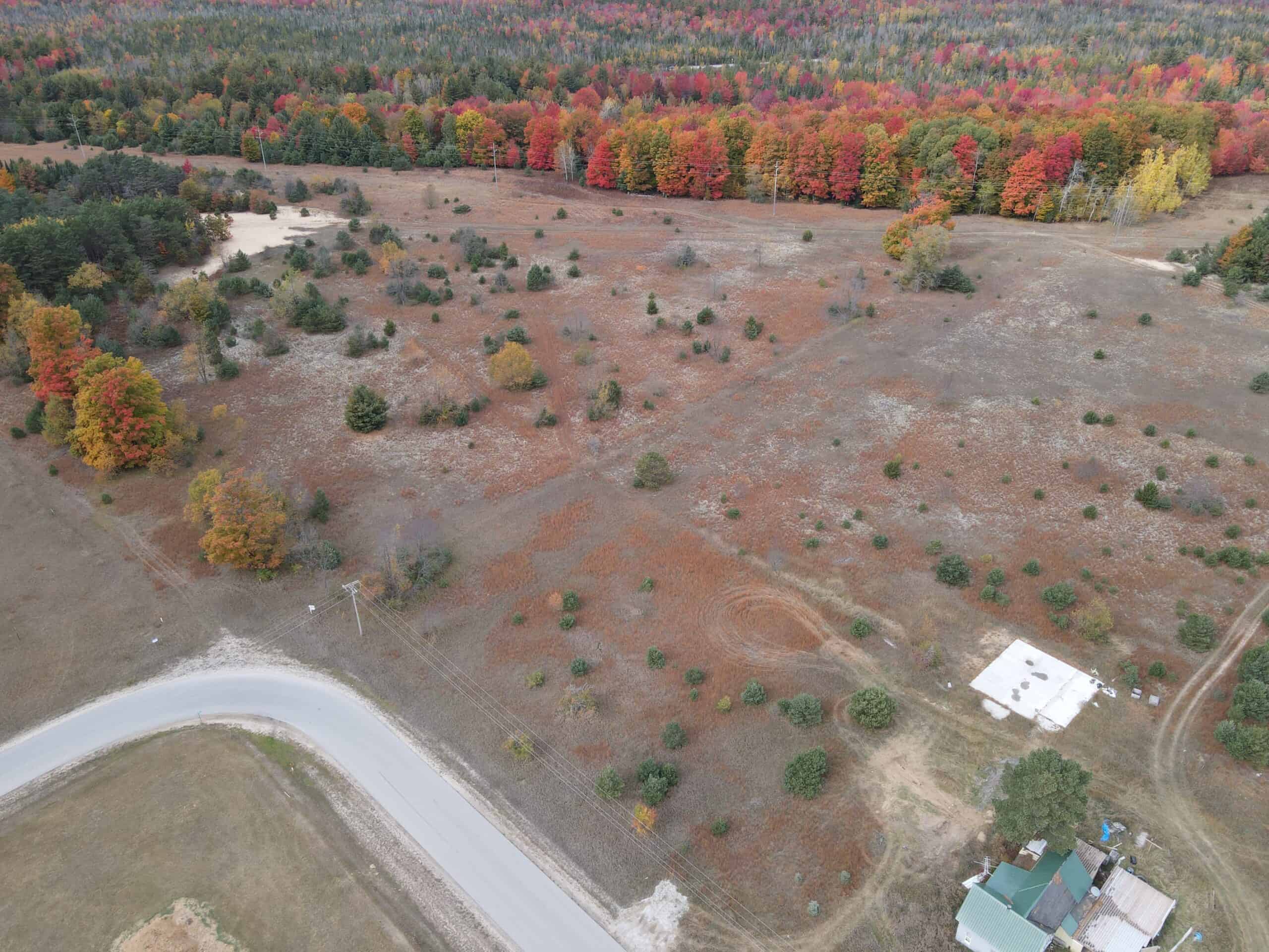 94 Acres of Prime Northern Michigan Land – Surveyed, Buildable, & Loaded with Wildlife