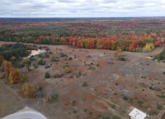 94 Acres of Prime Northern Michigan Land – Surveyed, Buildable, & Loaded with Wildlife