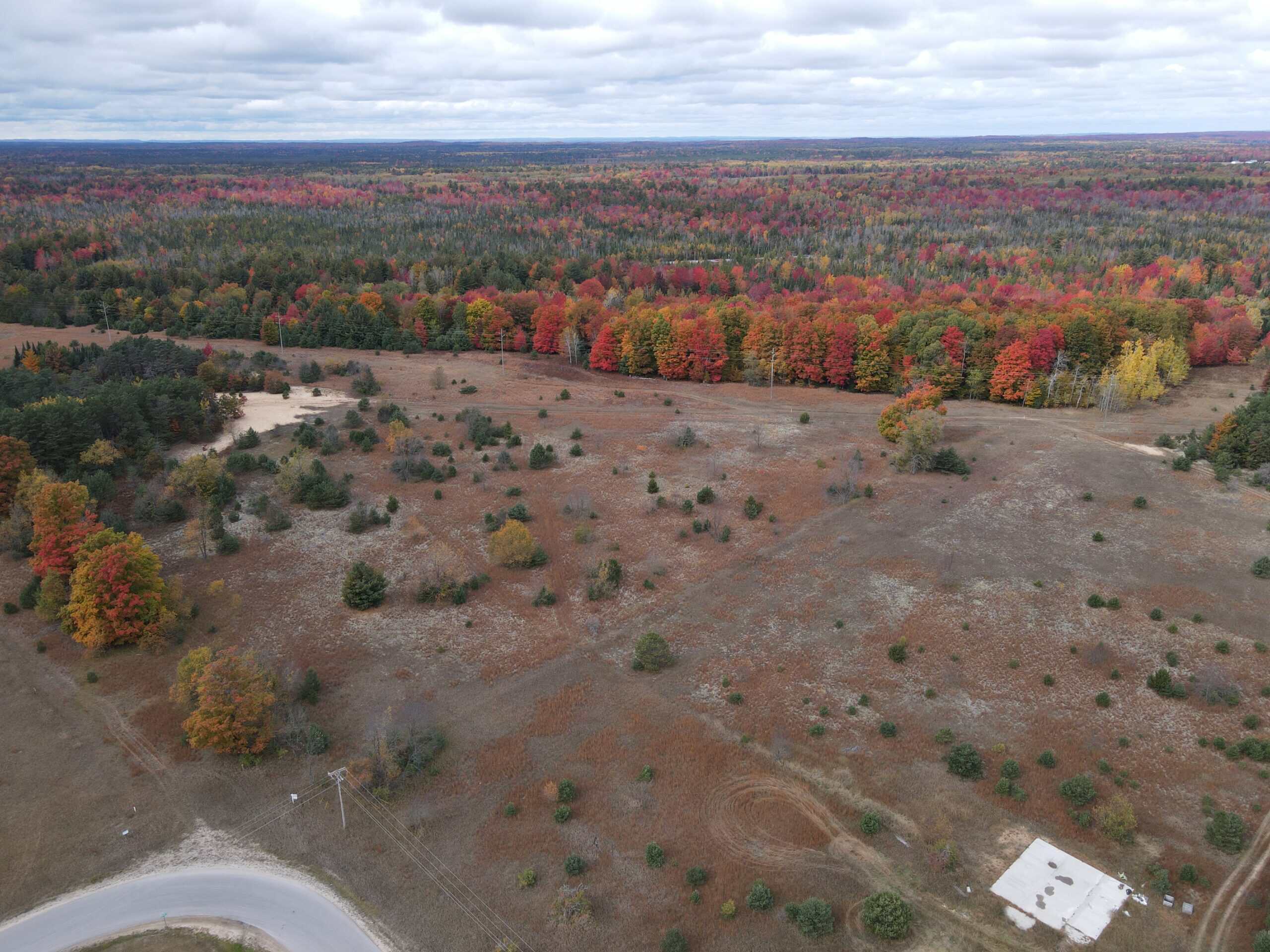94 Acres of Prime Northern Michigan Land – Surveyed, Buildable, & Loaded with Wildlife